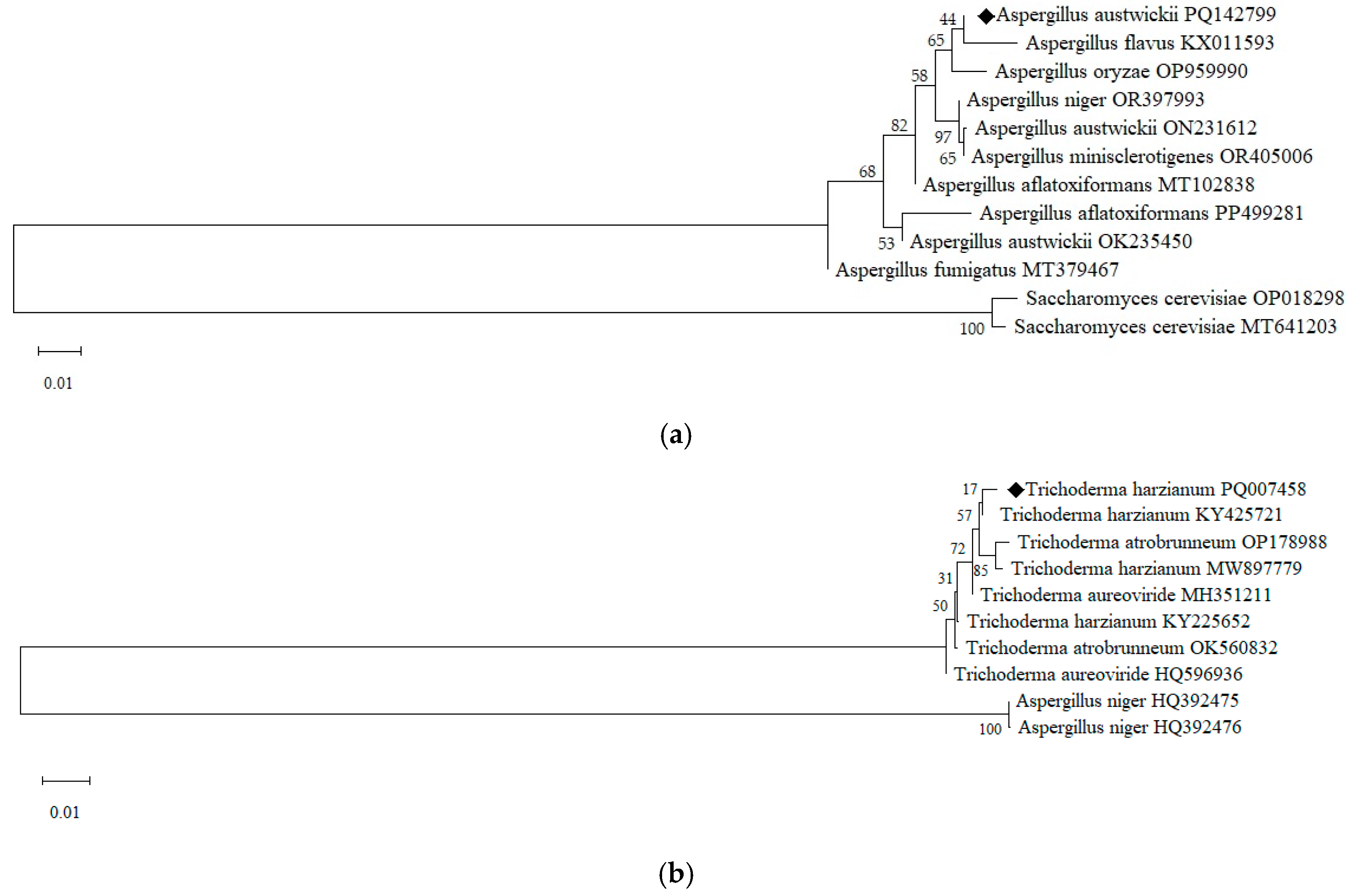 Fermentation 11 00578 g001