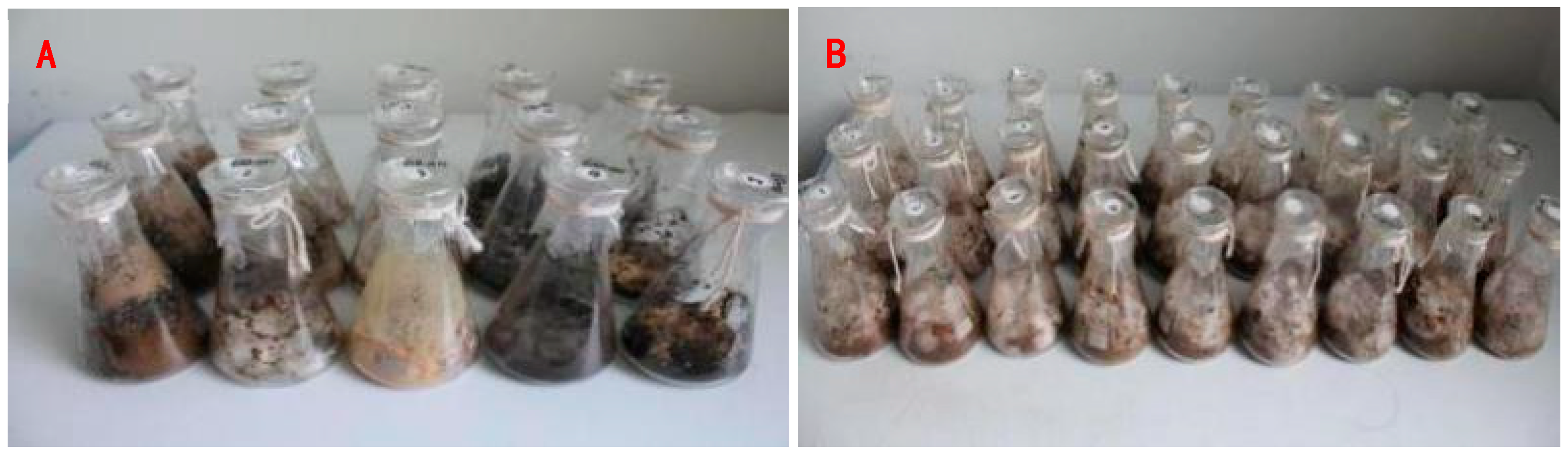 Fermentation 11 00582 g001