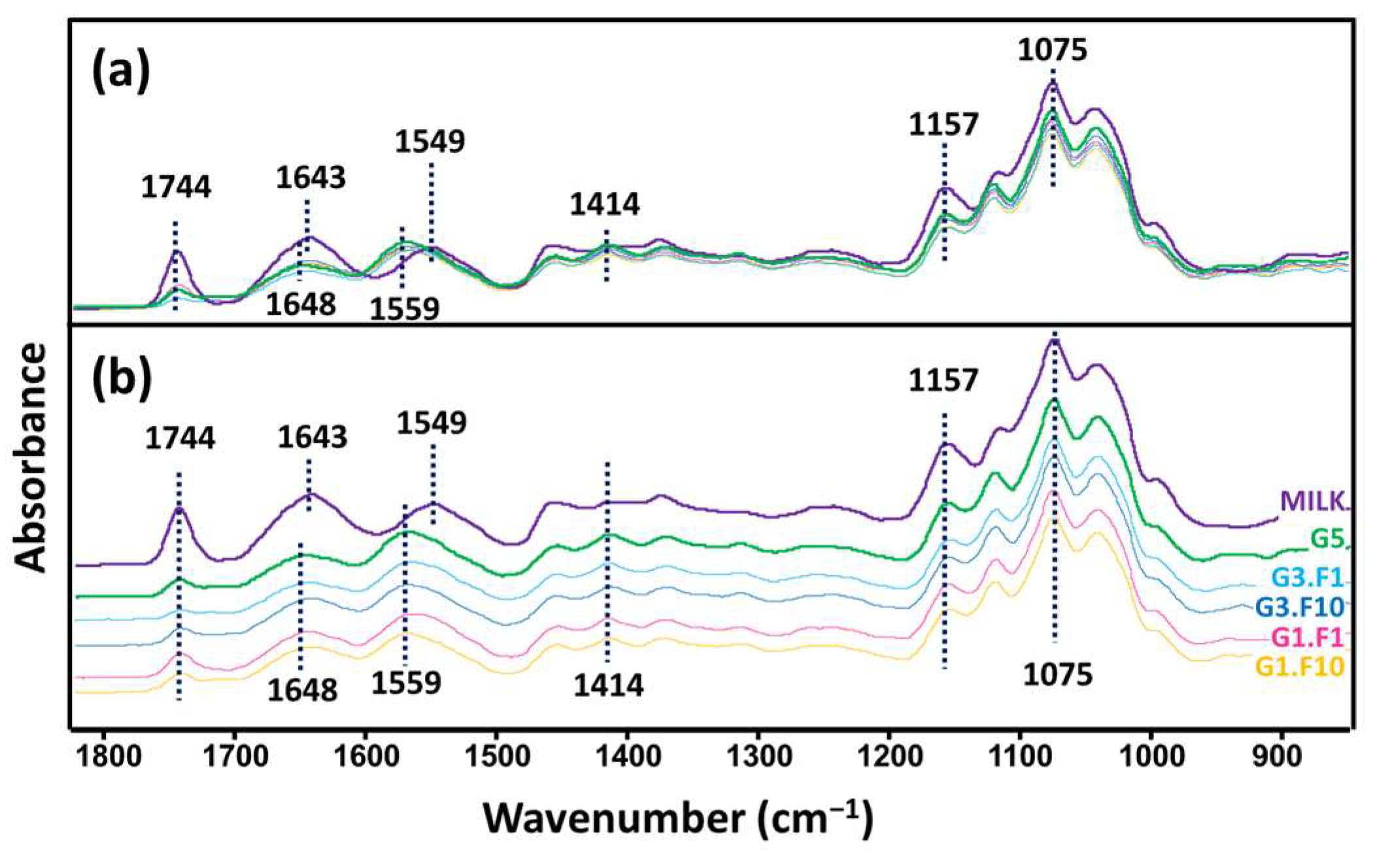 Fermentation 11 00584 g002
