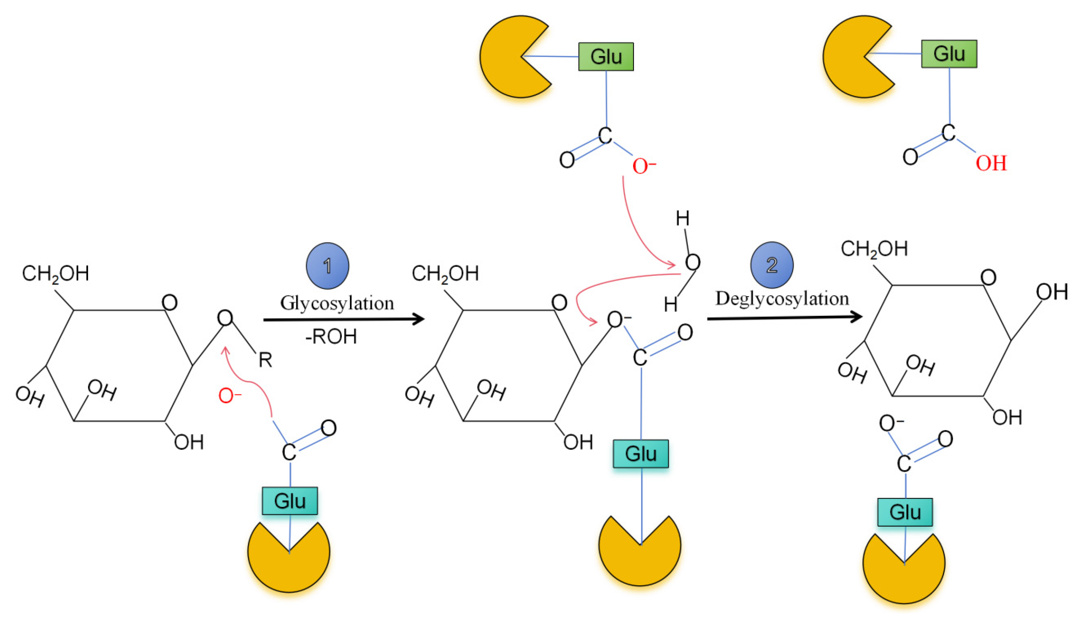 Fermentation 11 00588 g001 Fermentation 11 00588 g001