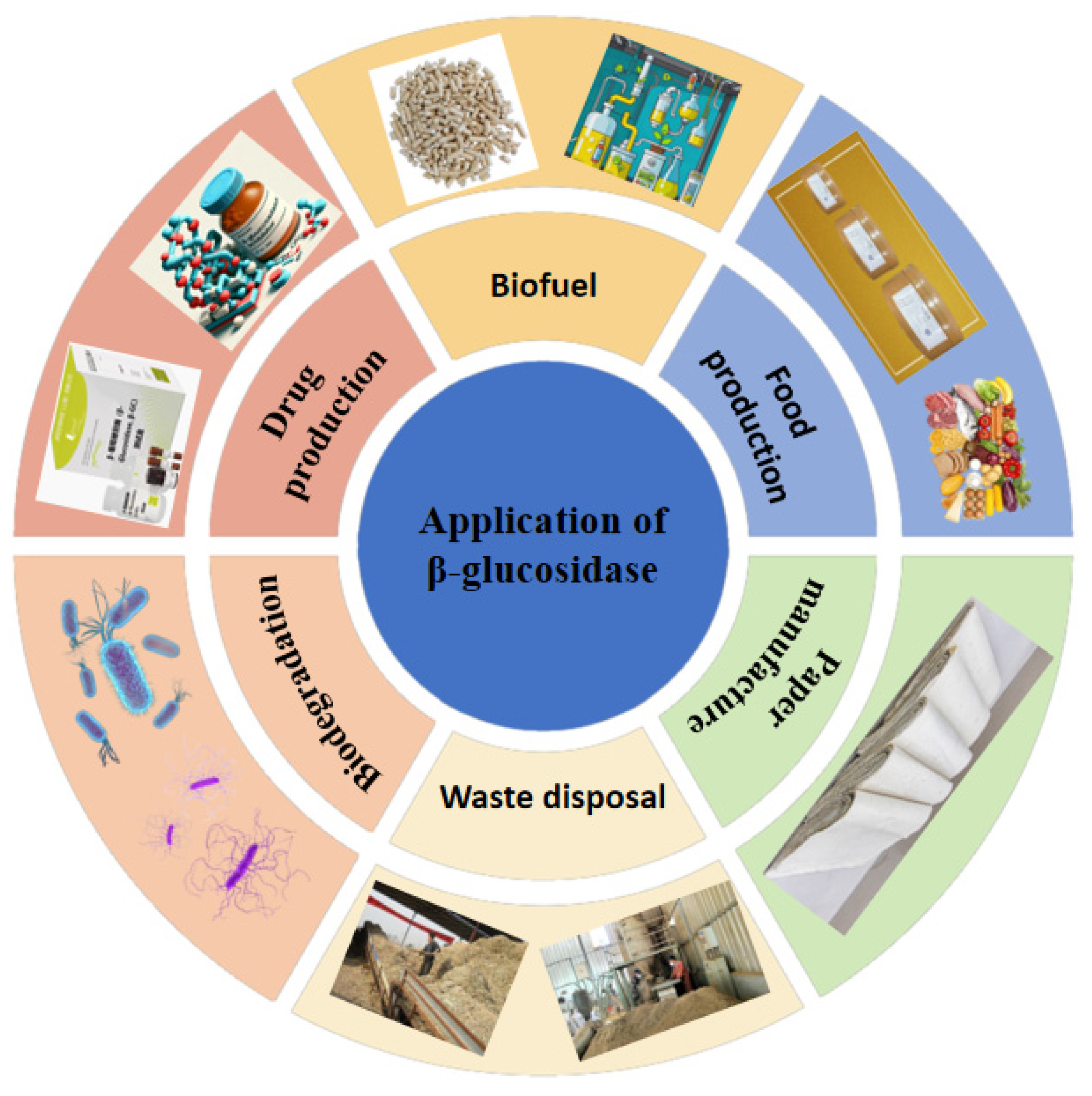 Fermentation 11 00588 g002 Fermentation 11 00588 g002
