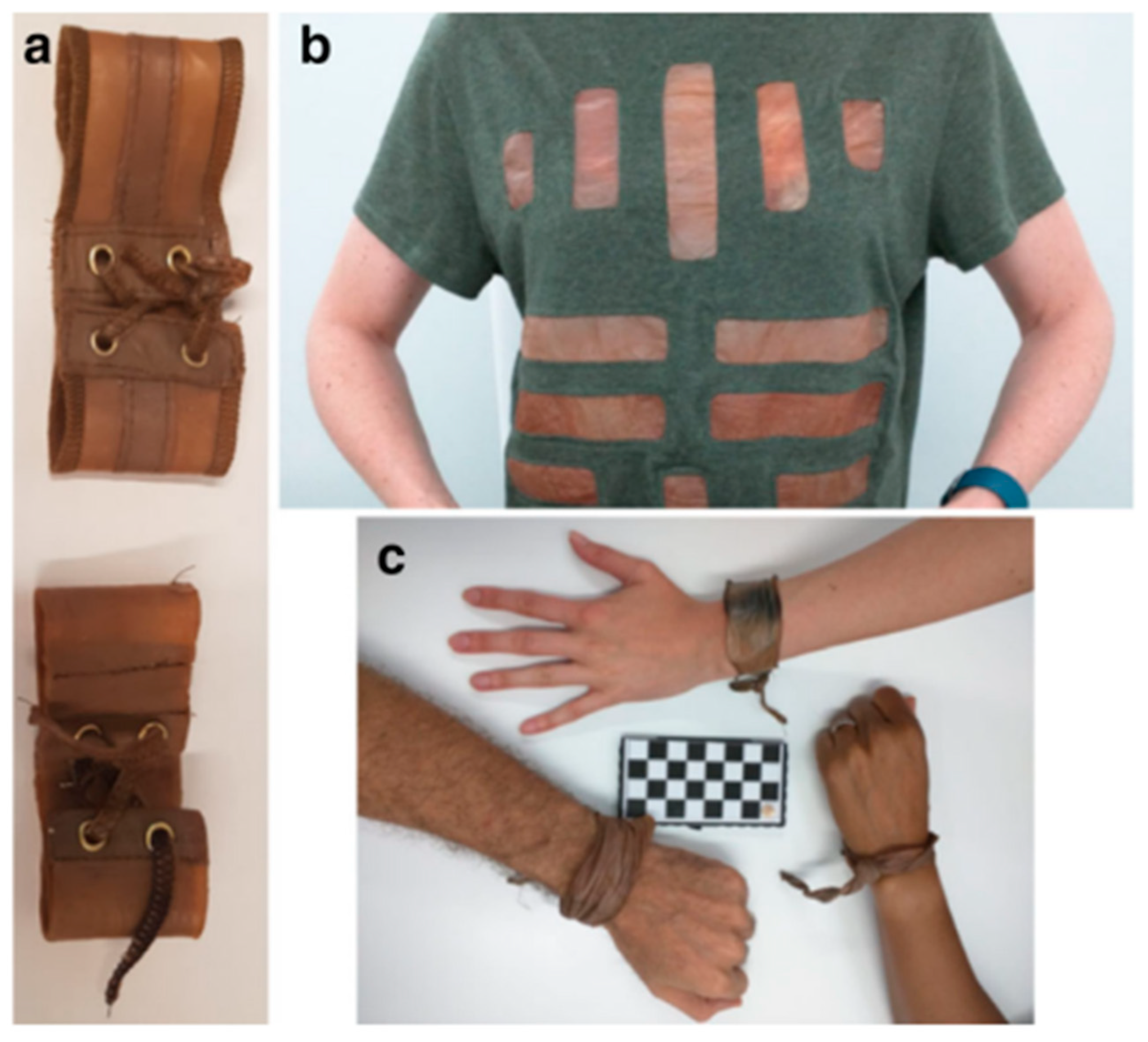 Fermentation 11 00589 g011 Fermentation 11 00589 g011