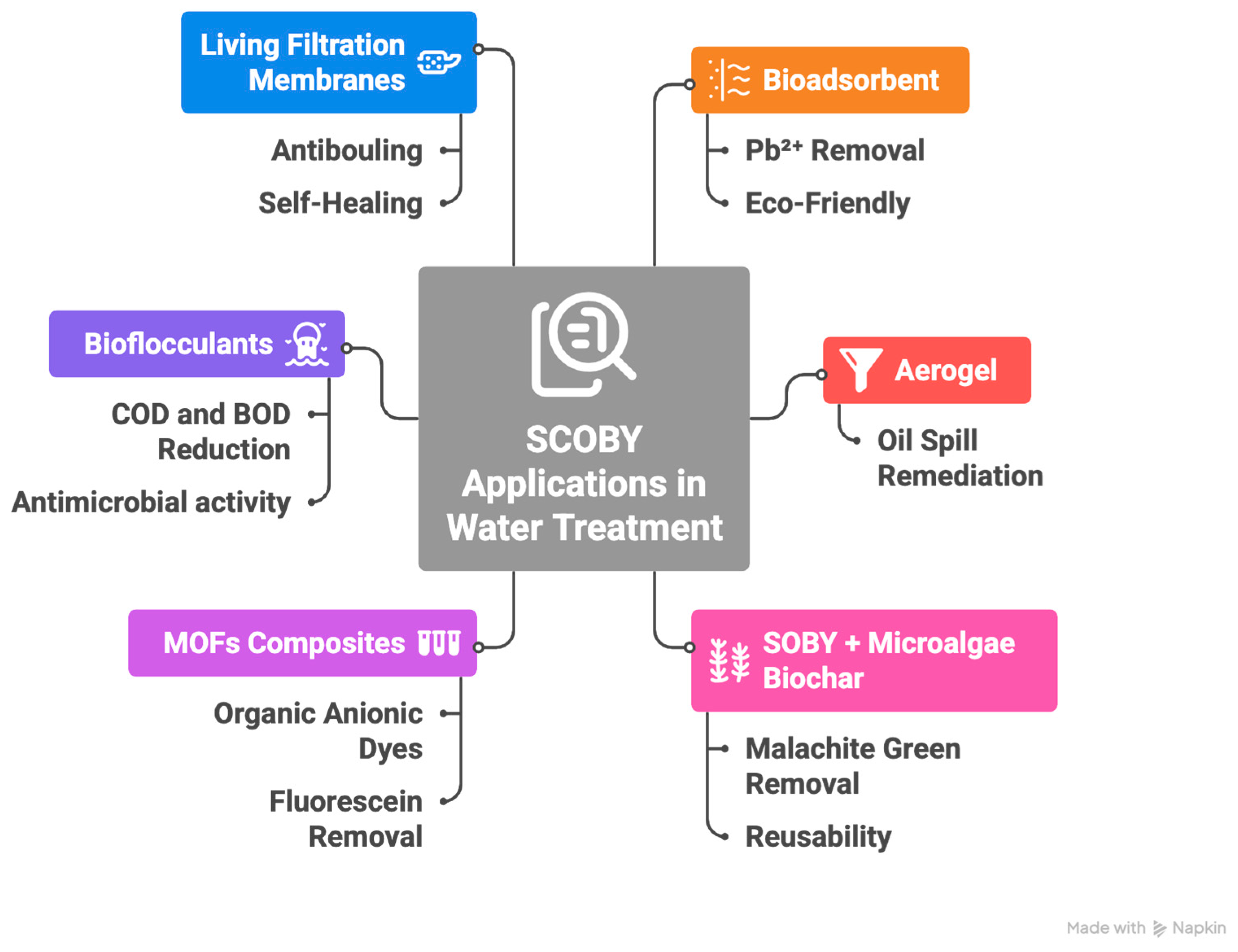 Fermentation 11 00589 g012 Fermentation 11 00589 g012