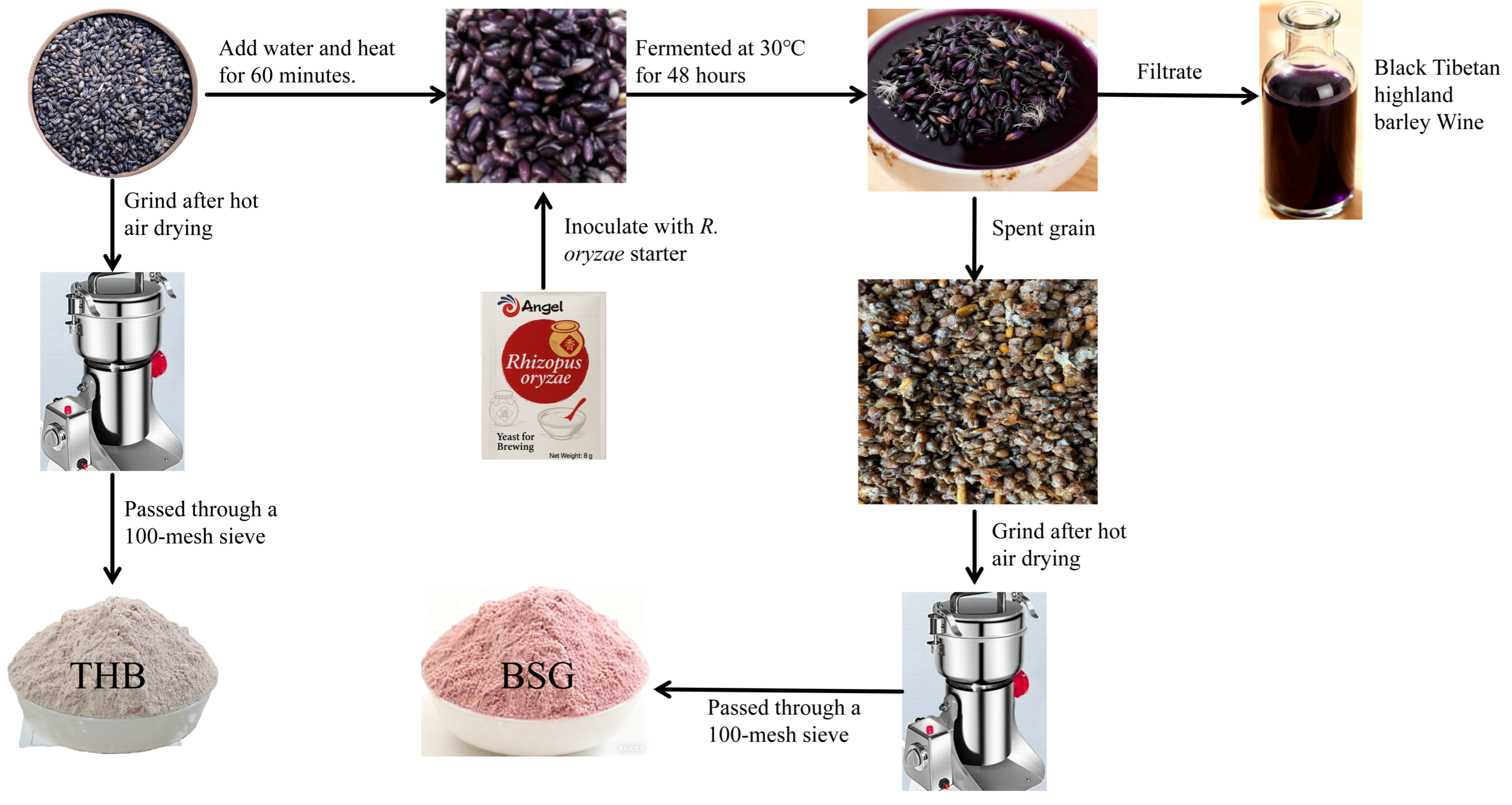 Fermentation 11 00600 g001