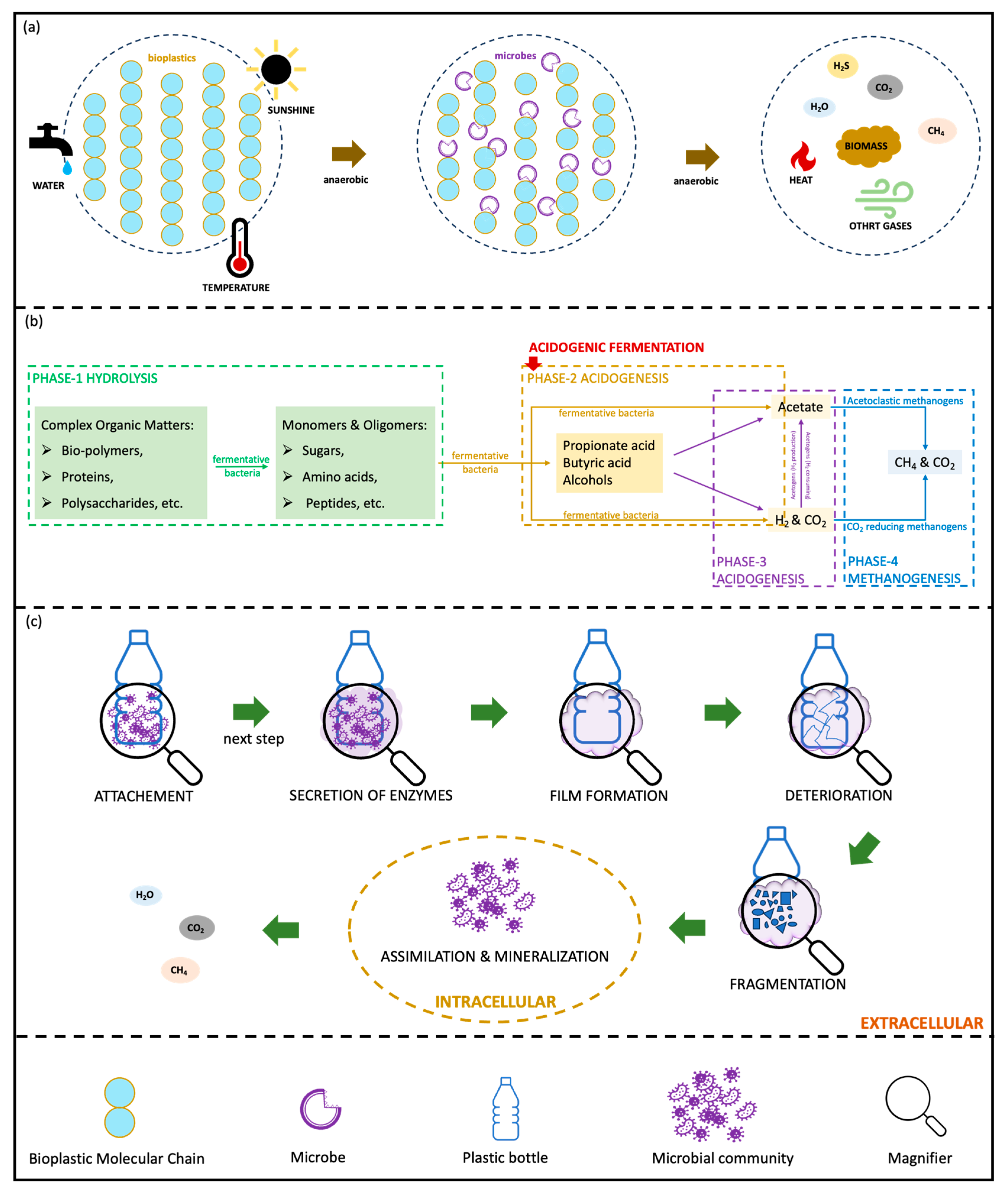 Fermentation 11 00610 g002