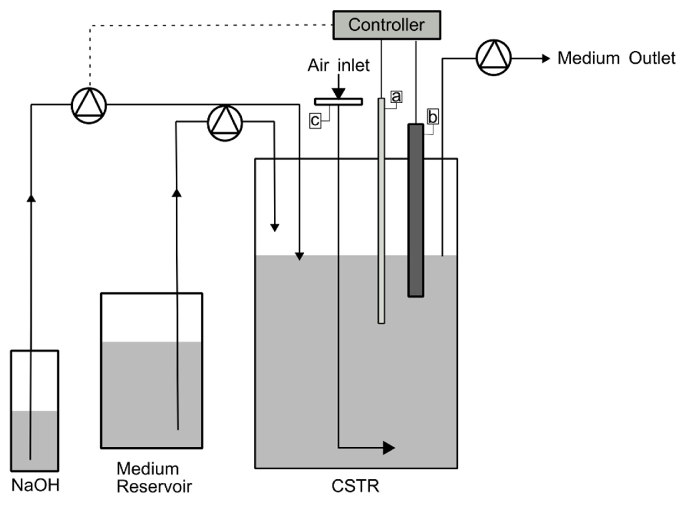 Fermentation 11 00622 g001 Fermentation 11 00622 g001