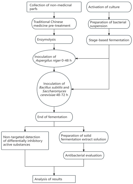 Valorization of the Non-Medicinal Parts of Polygonatum sibiricum