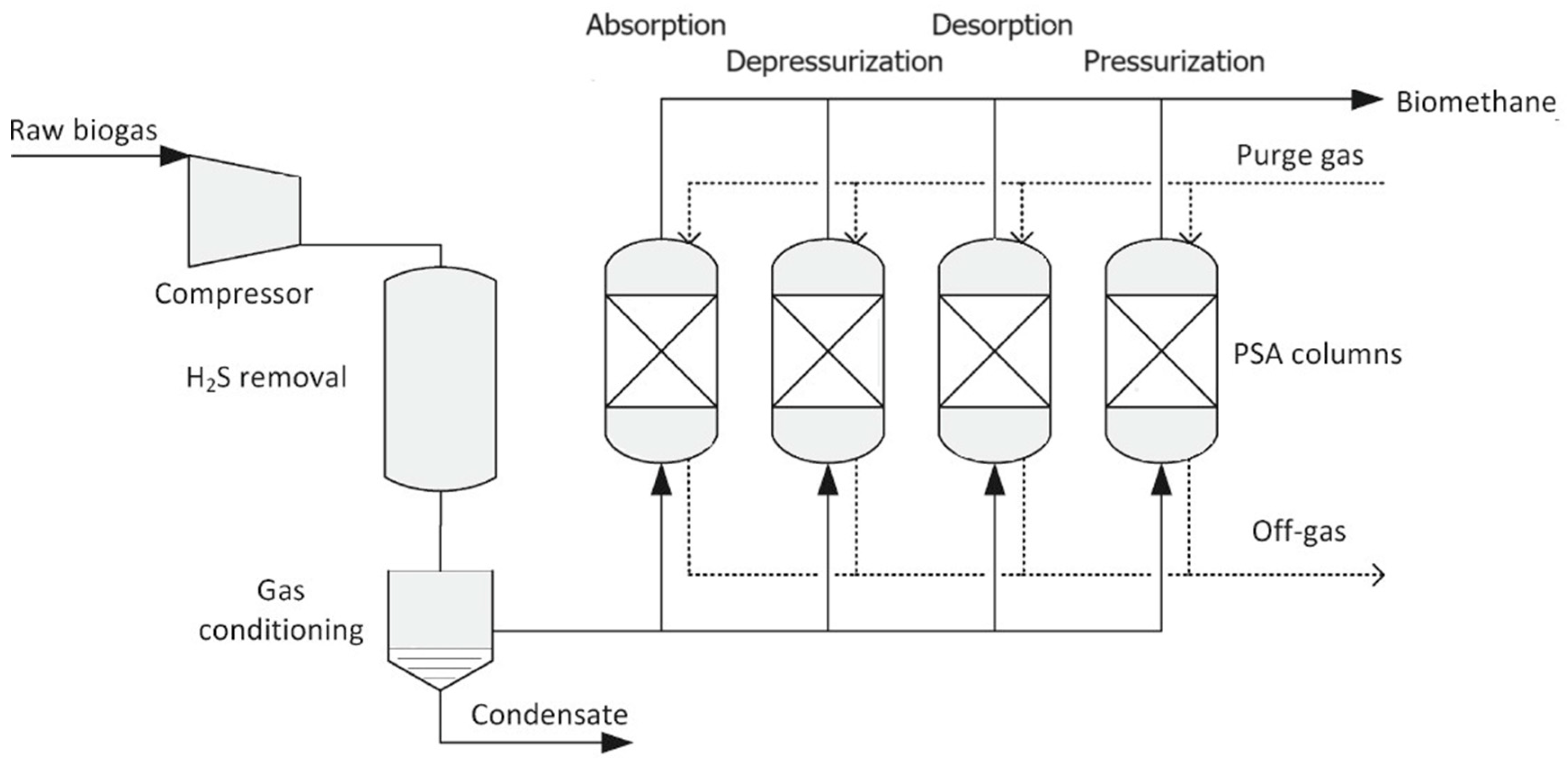 Future Horizons for Biomethane in the Context of the Energy Transition