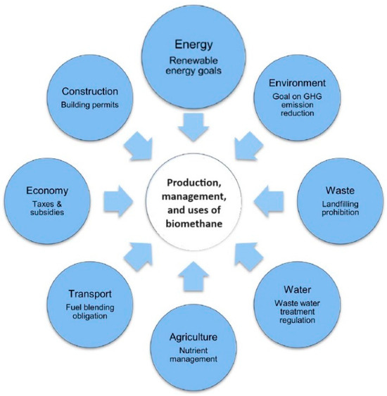 Future Horizons for Biomethane in the Context of the Energy Transition