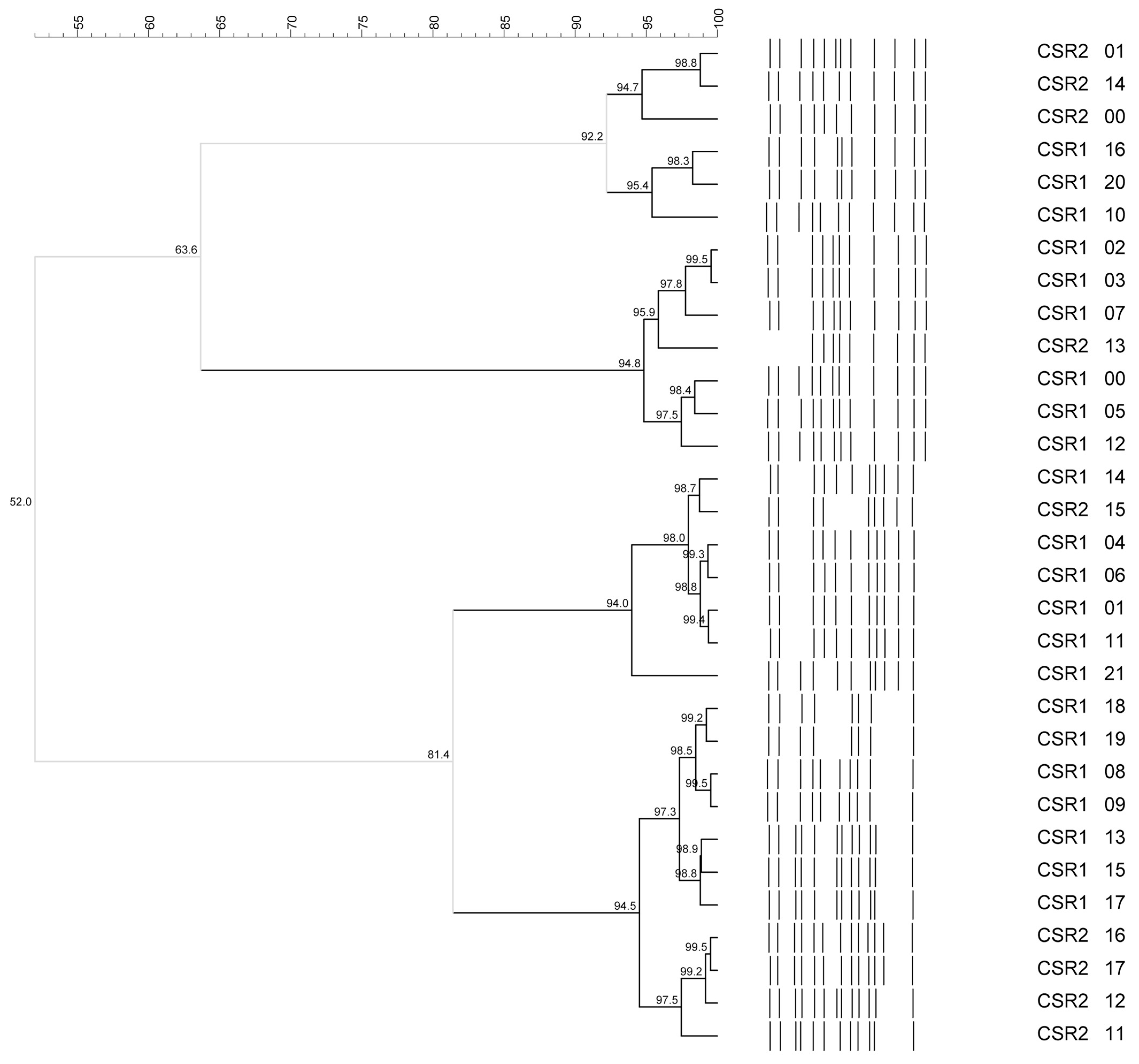 Fermentation 11 00660 g002