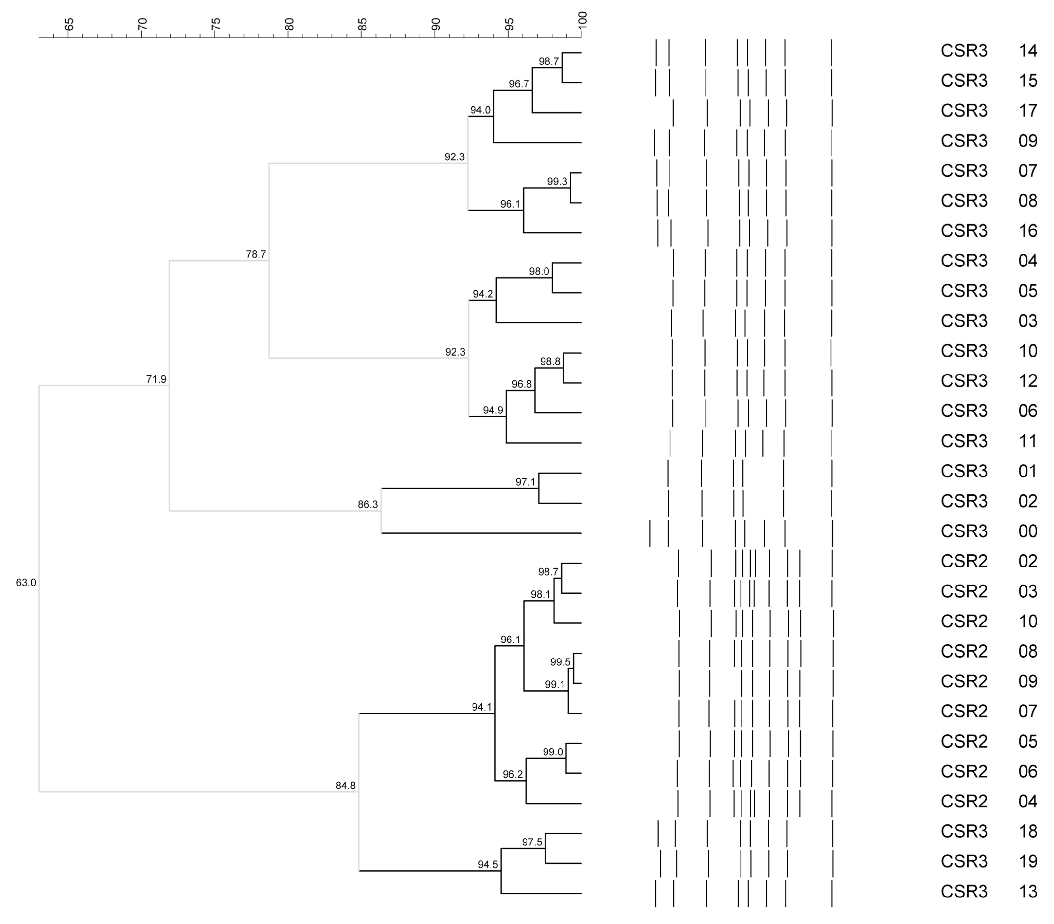 Fermentation 11 00660 g003
