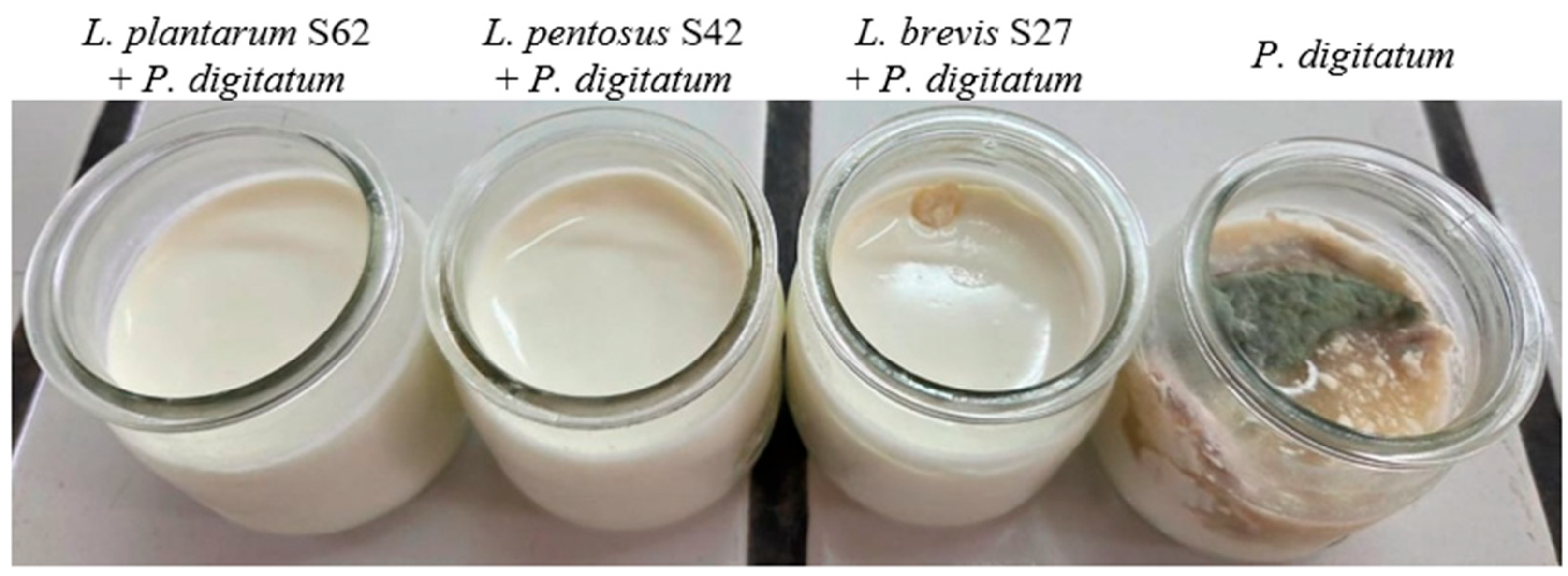 Fermentation 11 00661 g003