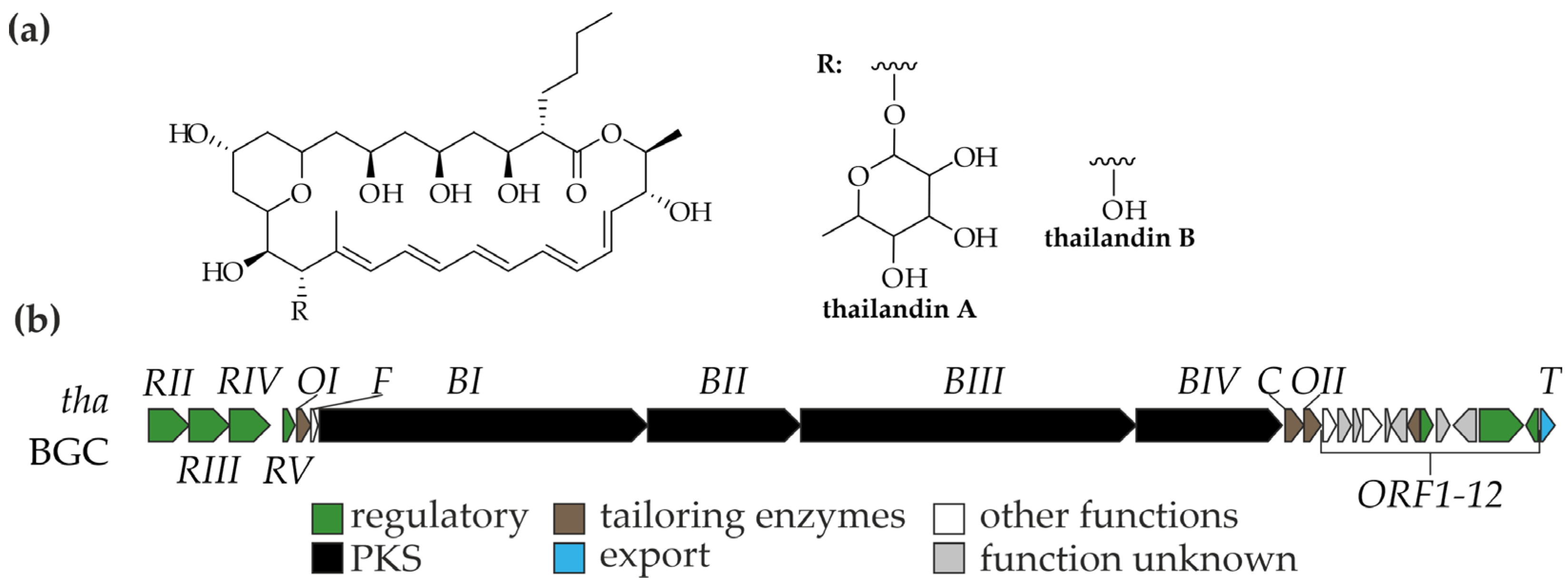 Fermentation 11 00663 g004 Fermentation 11 00663 g004
