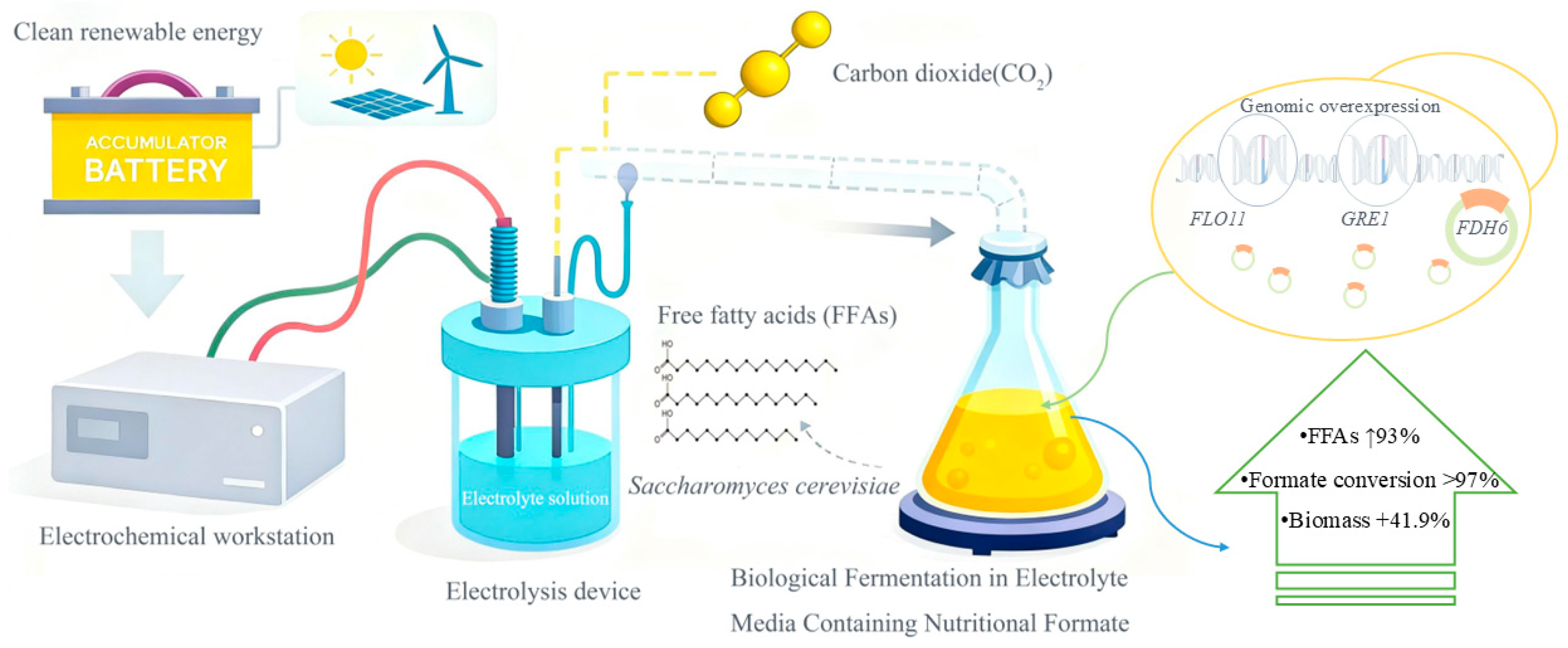 Fermentation 11 00664 g001