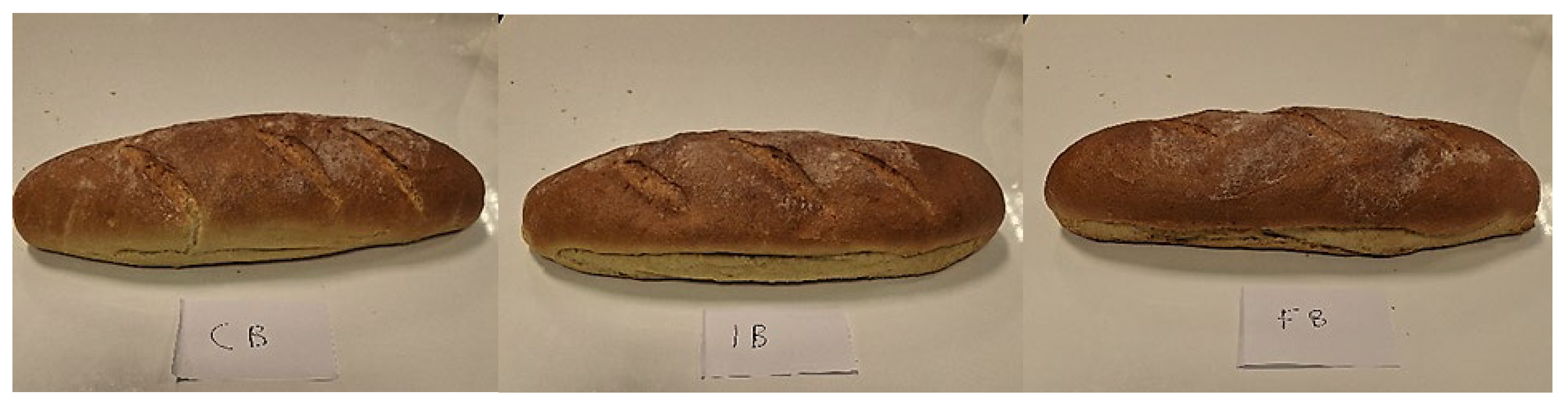 Fermentation 11 00666 g004 Fermentation 11 00666 g004