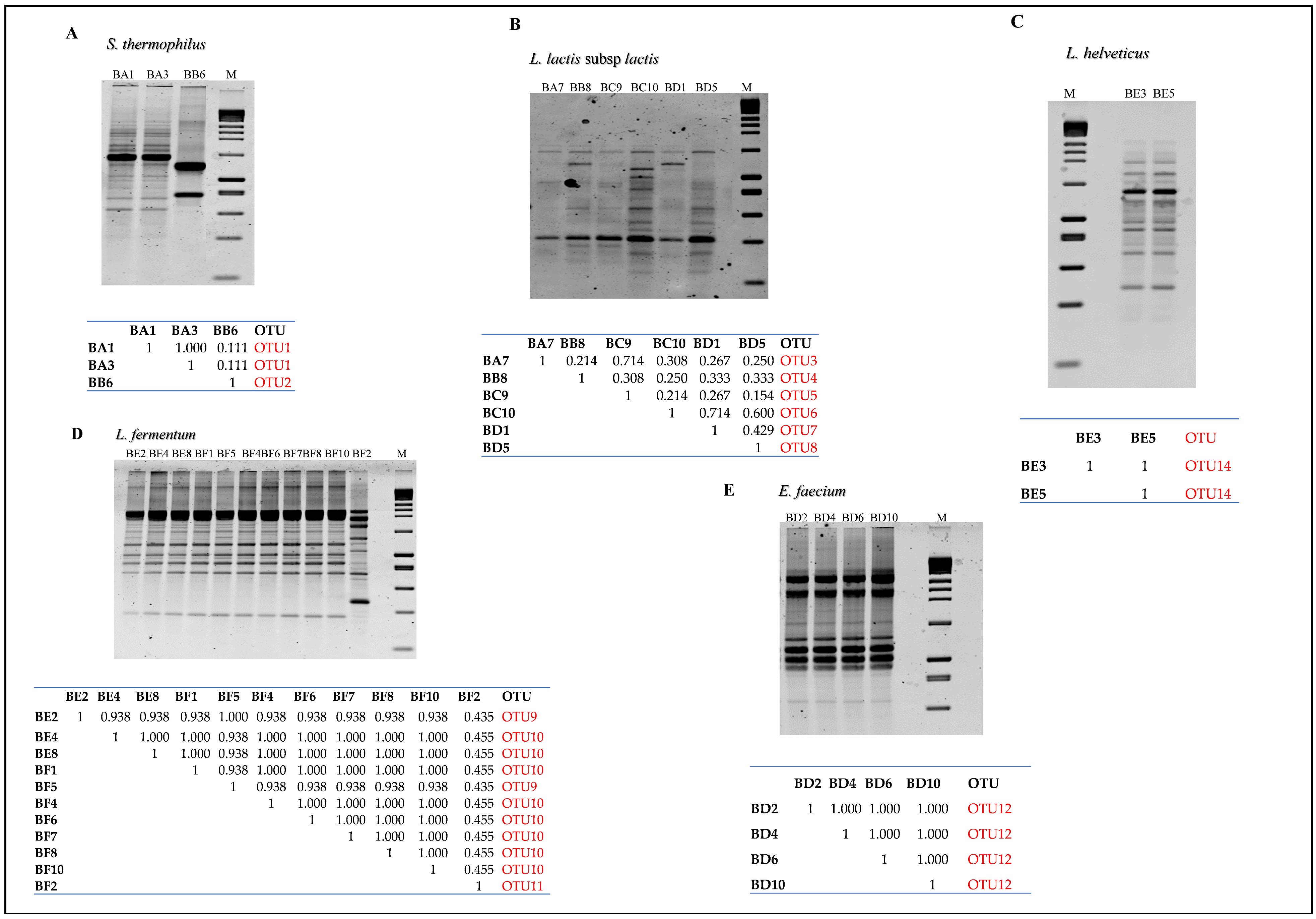 Fermentation 11 00668 g003 Fermentation 11 00668 g003