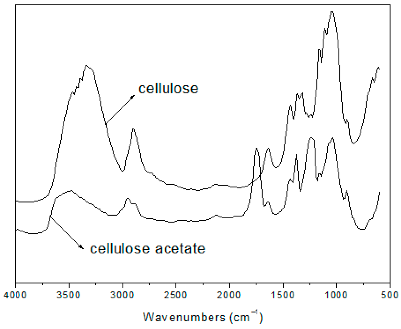 Fermentation 11 00676 g001 Fermentation 11 00676 g001