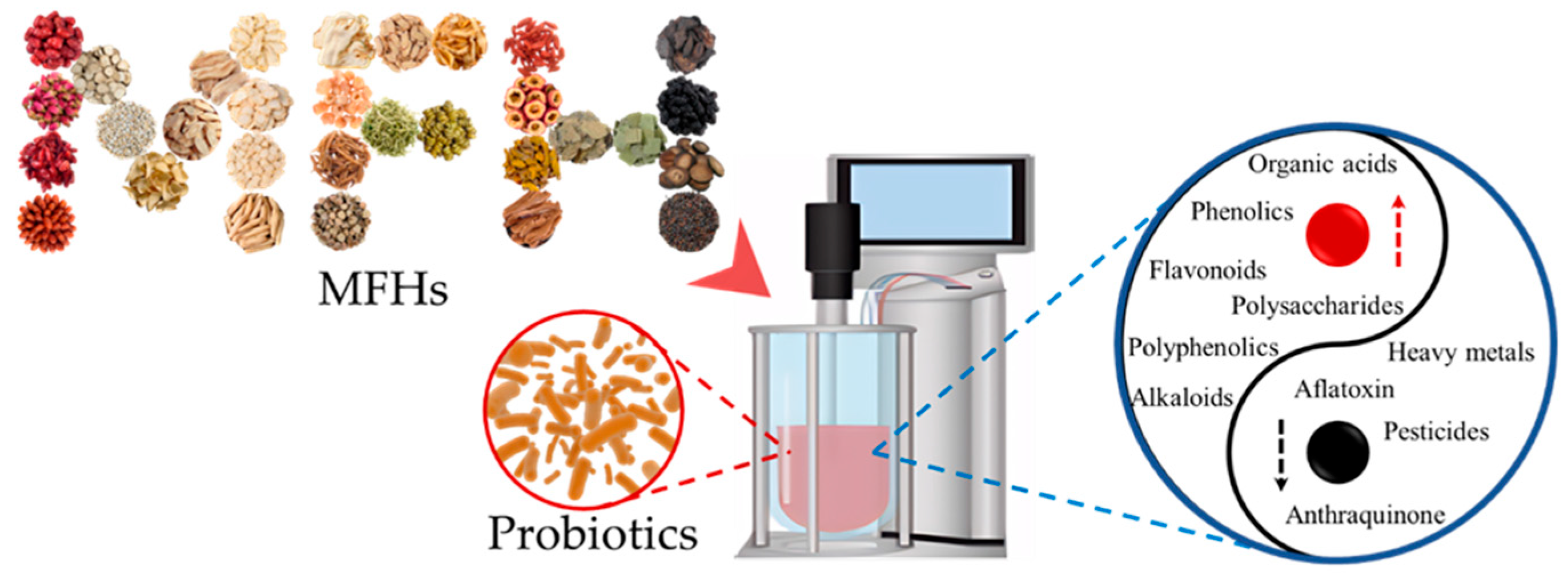 Fermentation 11 00682 g002 Fermentation 11 00682 g002
