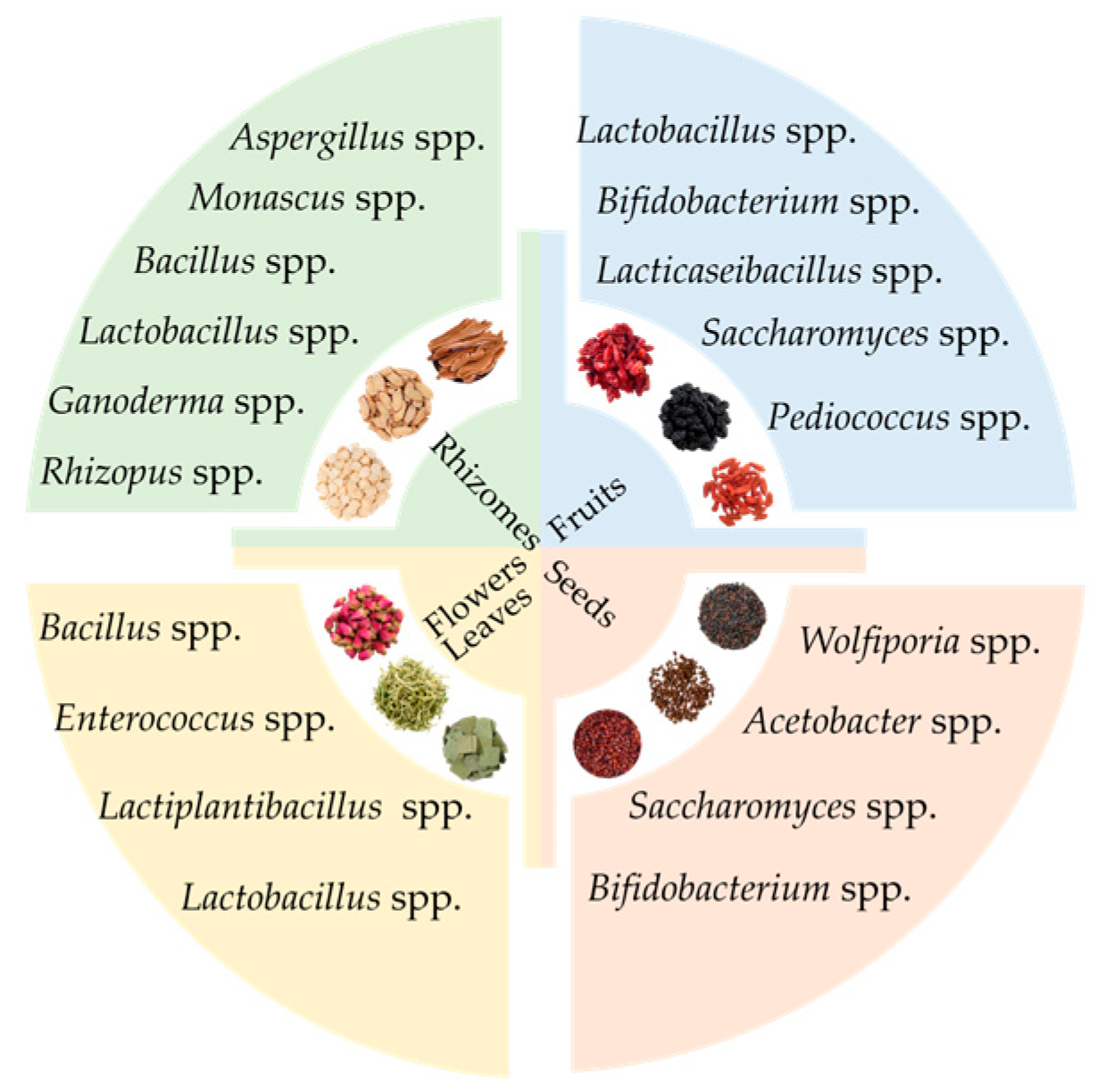 Fermentation 11 00682 g003 Fermentation 11 00682 g003
