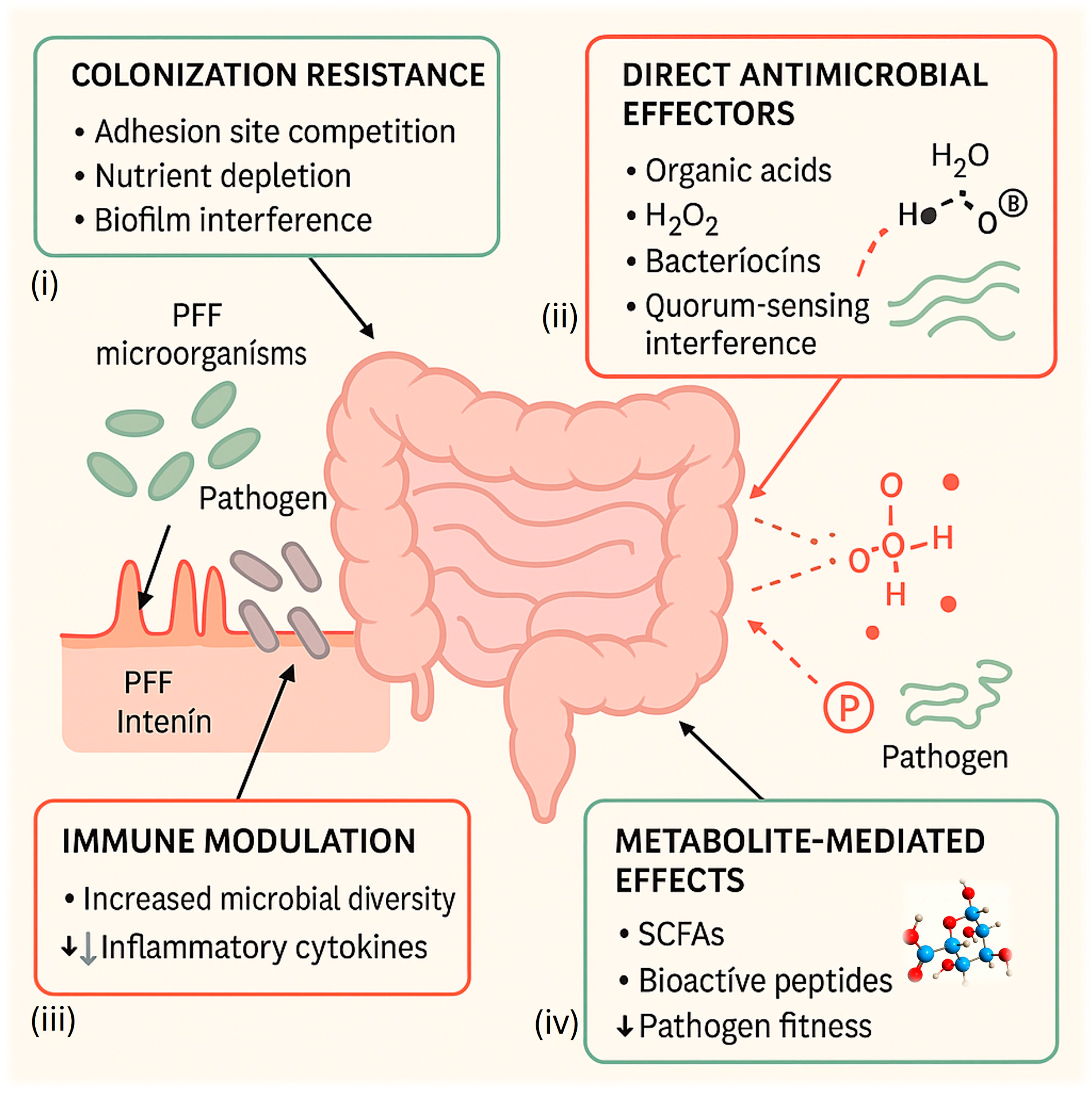 Fermentation 11 00684 g001 Fermentation 11 00684 g001