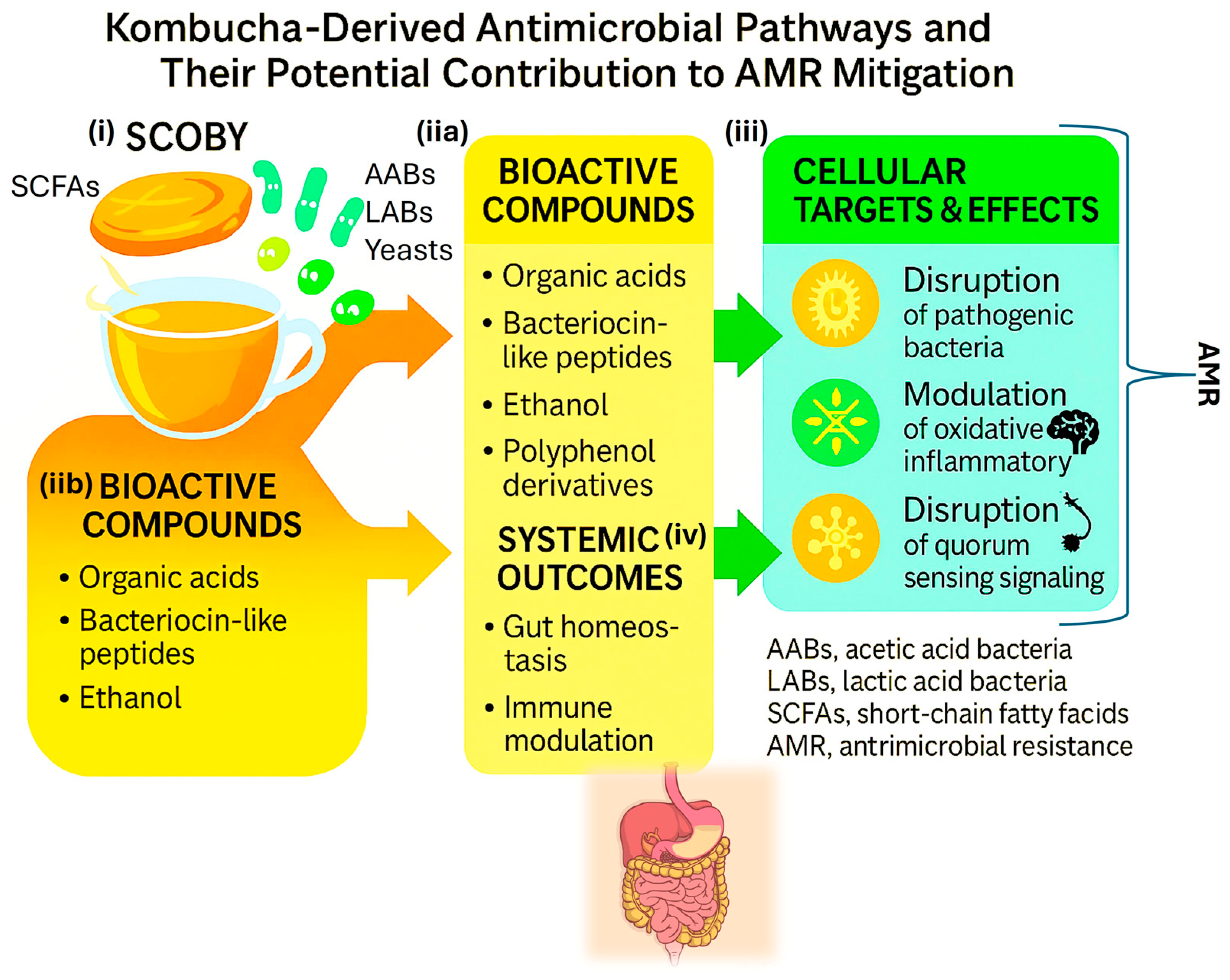 Fermentation 11 00684 g003 Fermentation 11 00684 g003