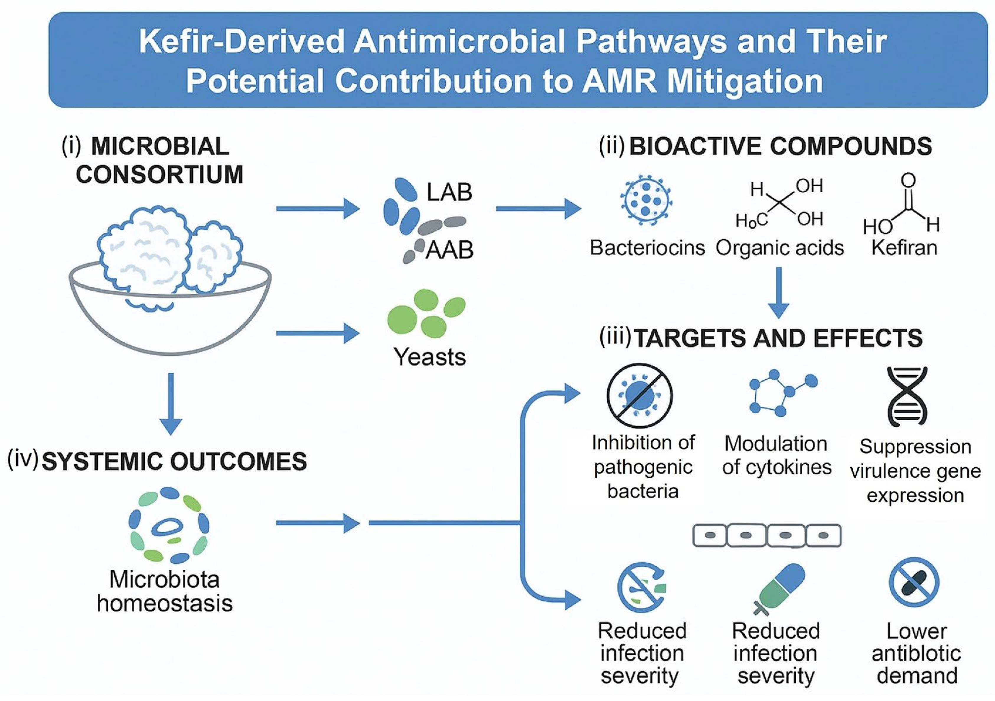 Fermentation 11 00684 g004 Fermentation 11 00684 g004