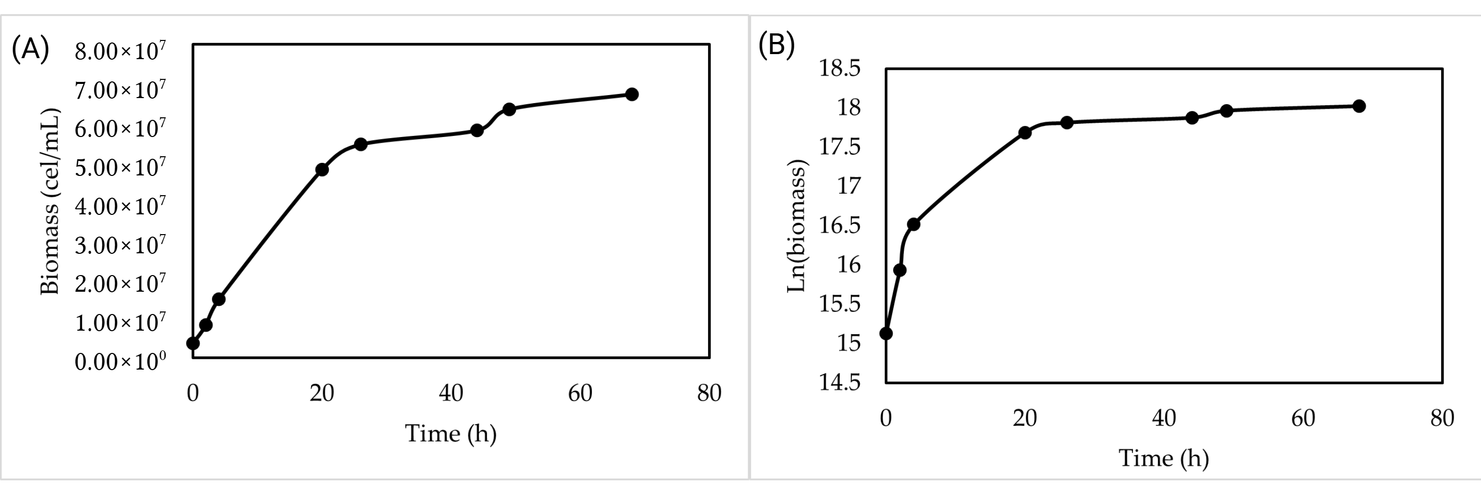 Fermentation 11 00688 g002