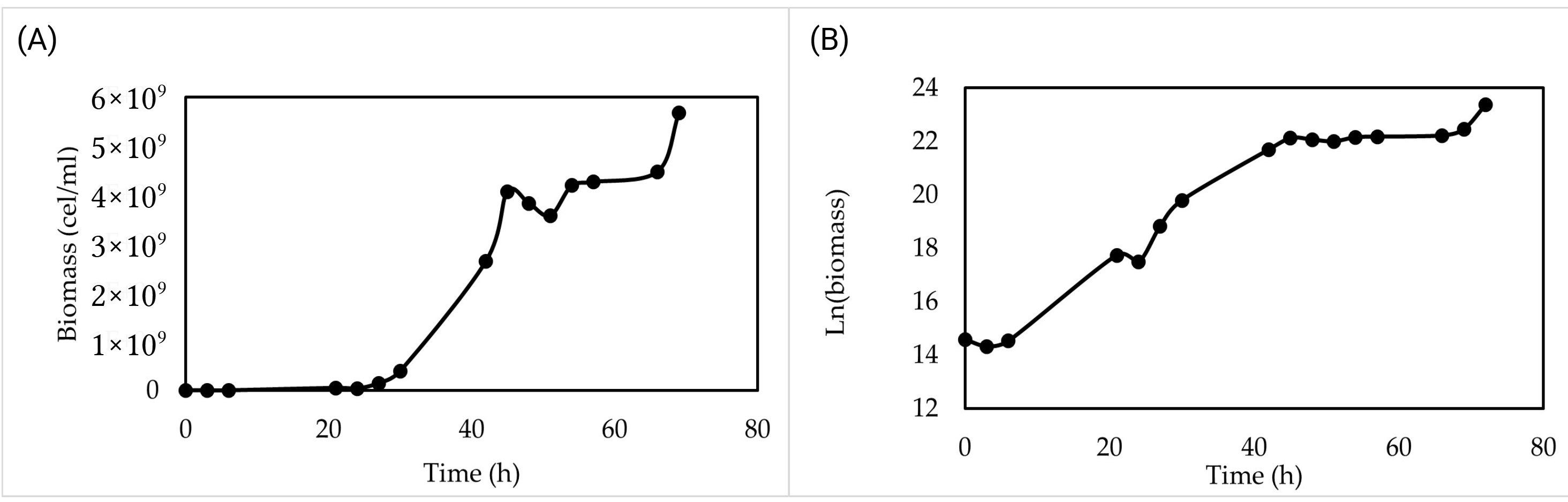 Fermentation 11 00688 g003