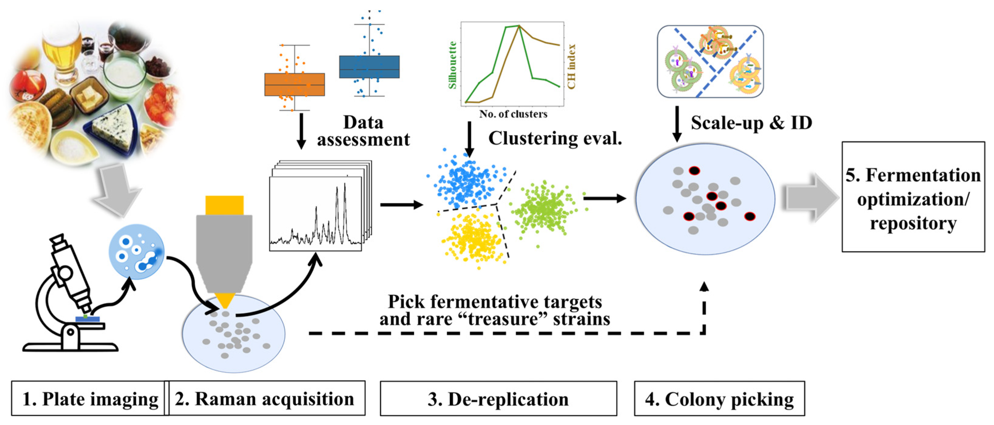 Fermentation 11 00691 g001 Fermentation 11 00691 g001