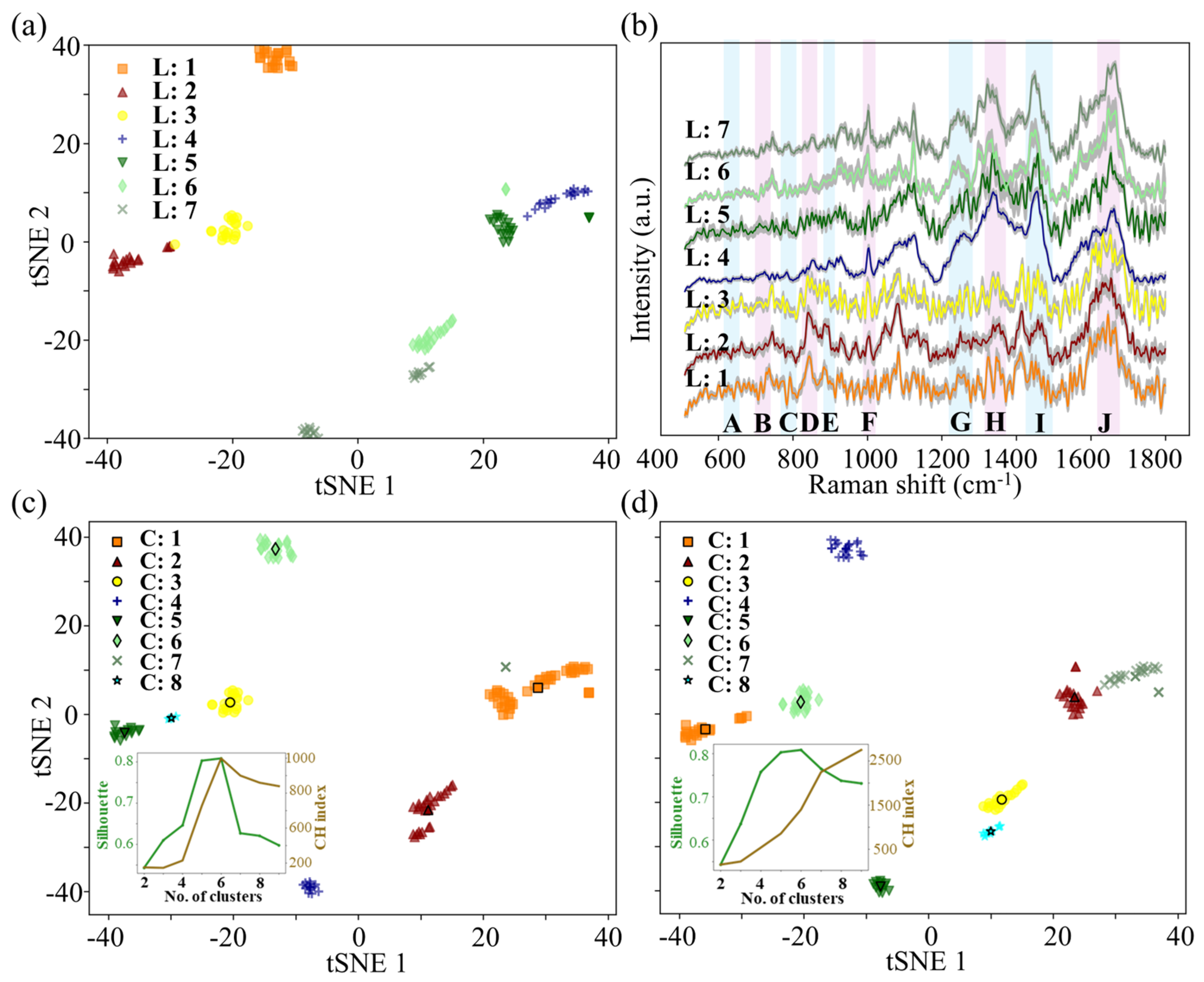 Fermentation 11 00691 g004 Fermentation 11 00691 g004