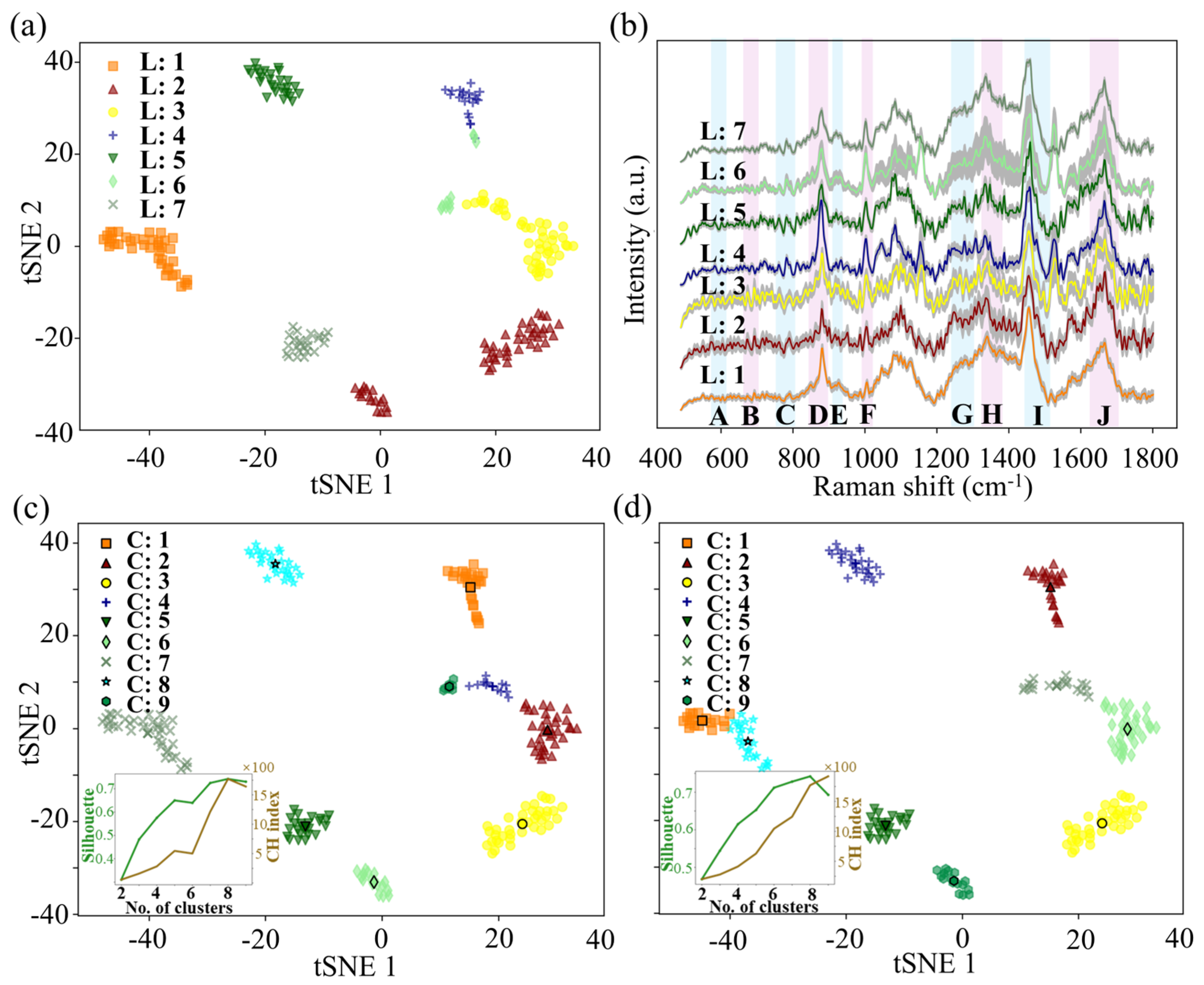 Fermentation 11 00691 g005 Fermentation 11 00691 g005