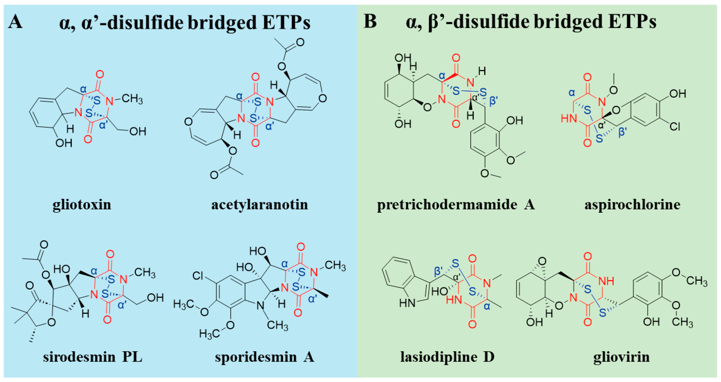 Fermentation 11 00700 g002 Fermentation 11 00700 g002