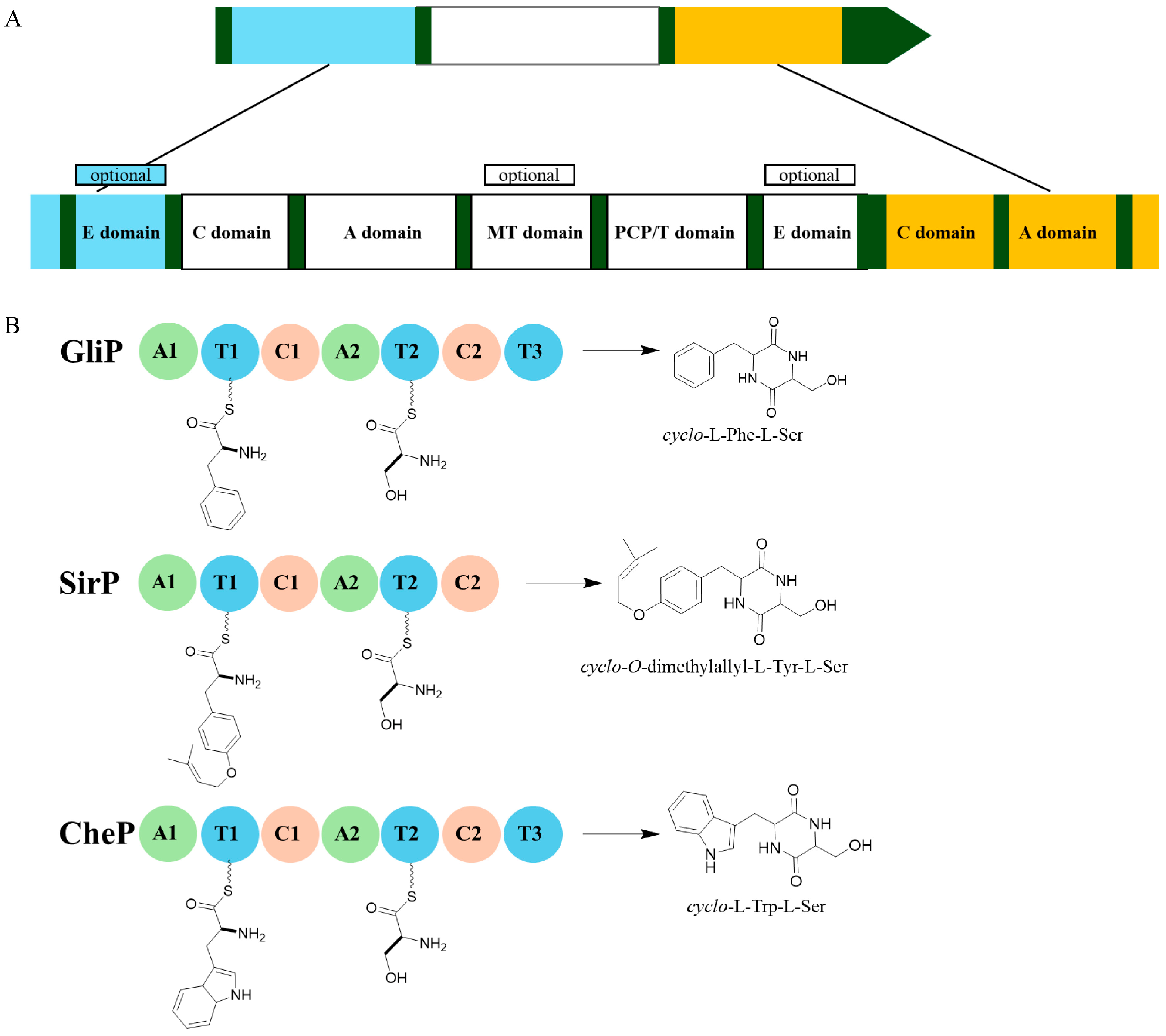 Fermentation 11 00700 g003 Fermentation 11 00700 g003