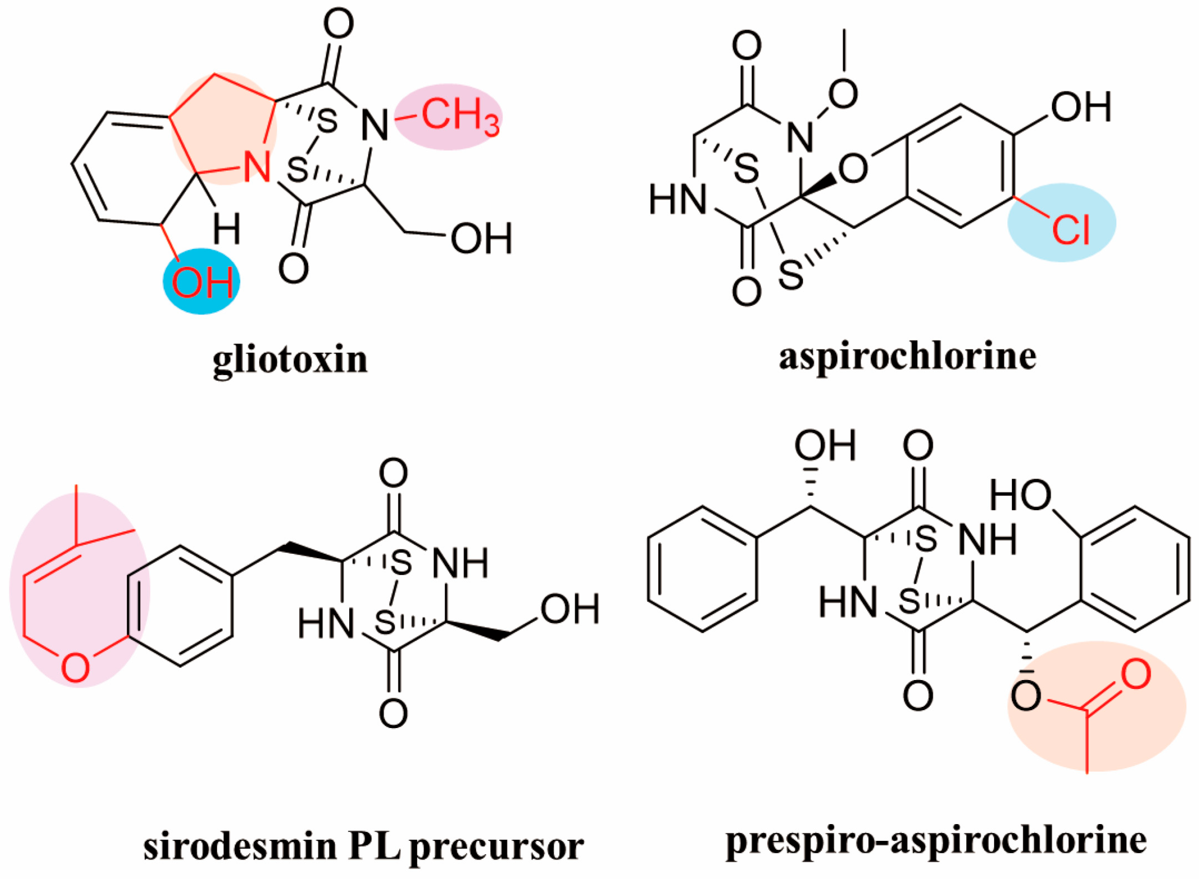 Fermentation 11 00700 g005