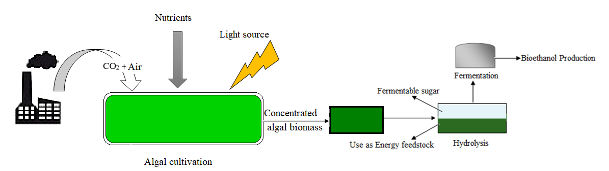 Fermentation 12 00002 g002