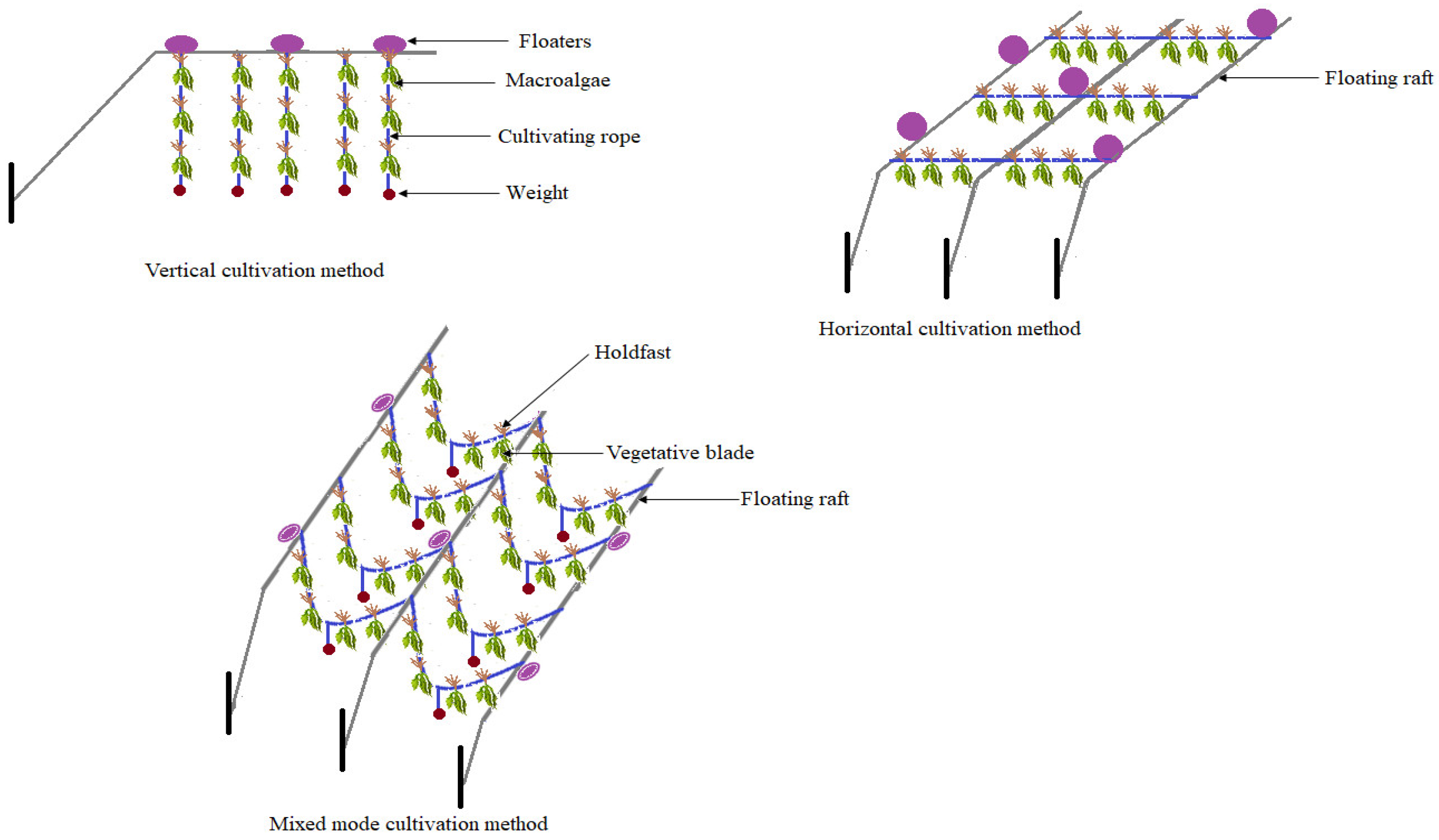 Fermentation 12 00002 g004