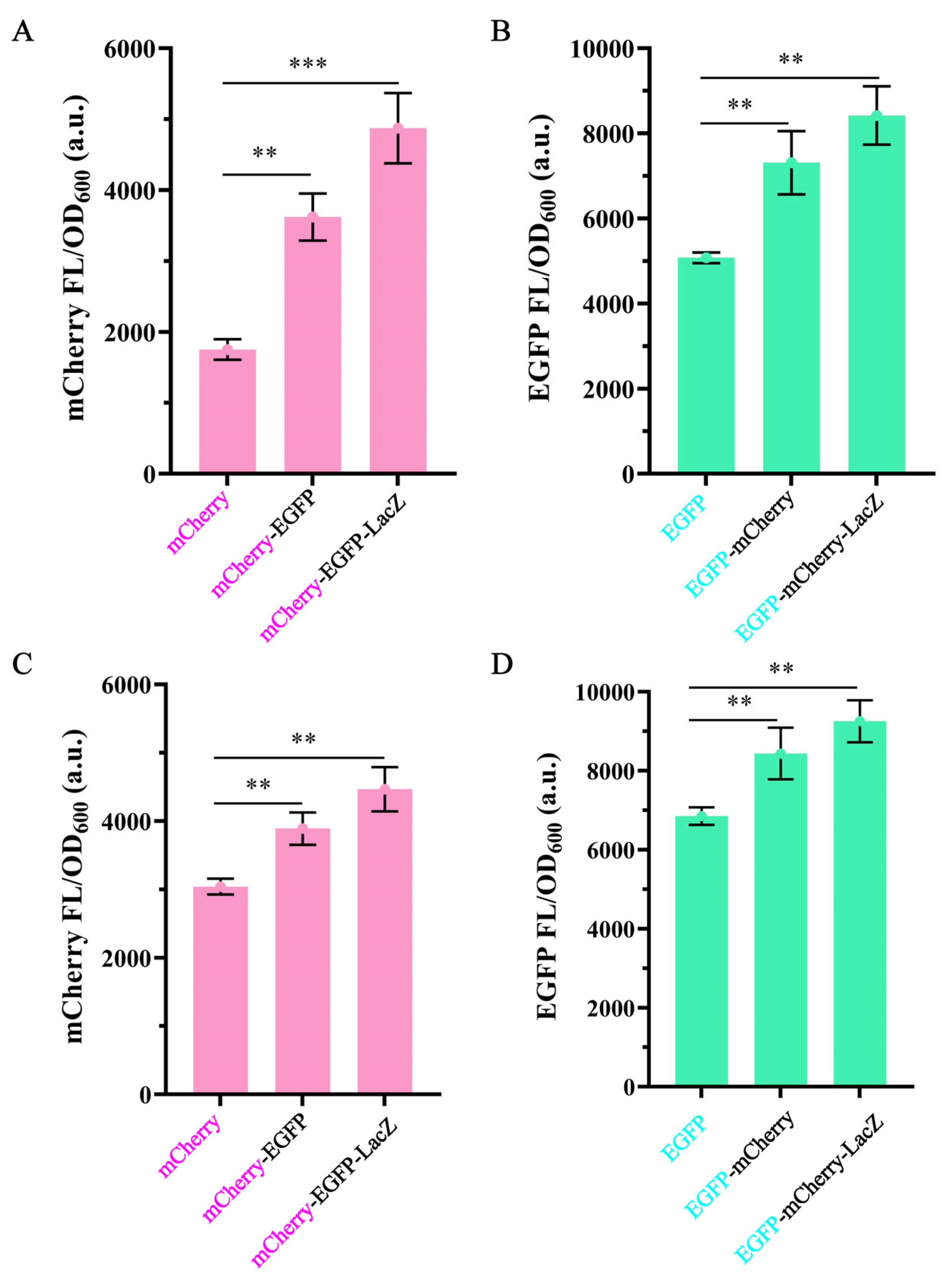Fermentation 12 00011 g002