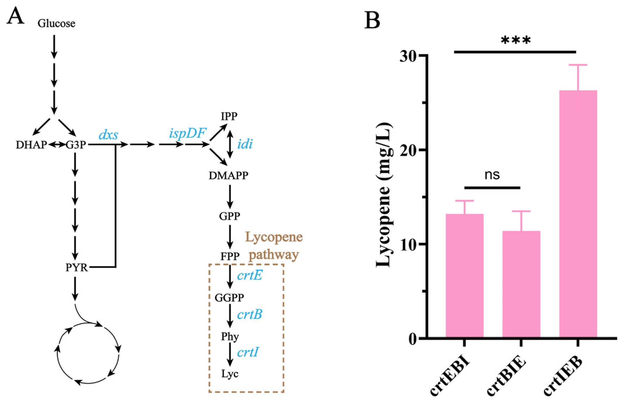 Fermentation 12 00011 g003