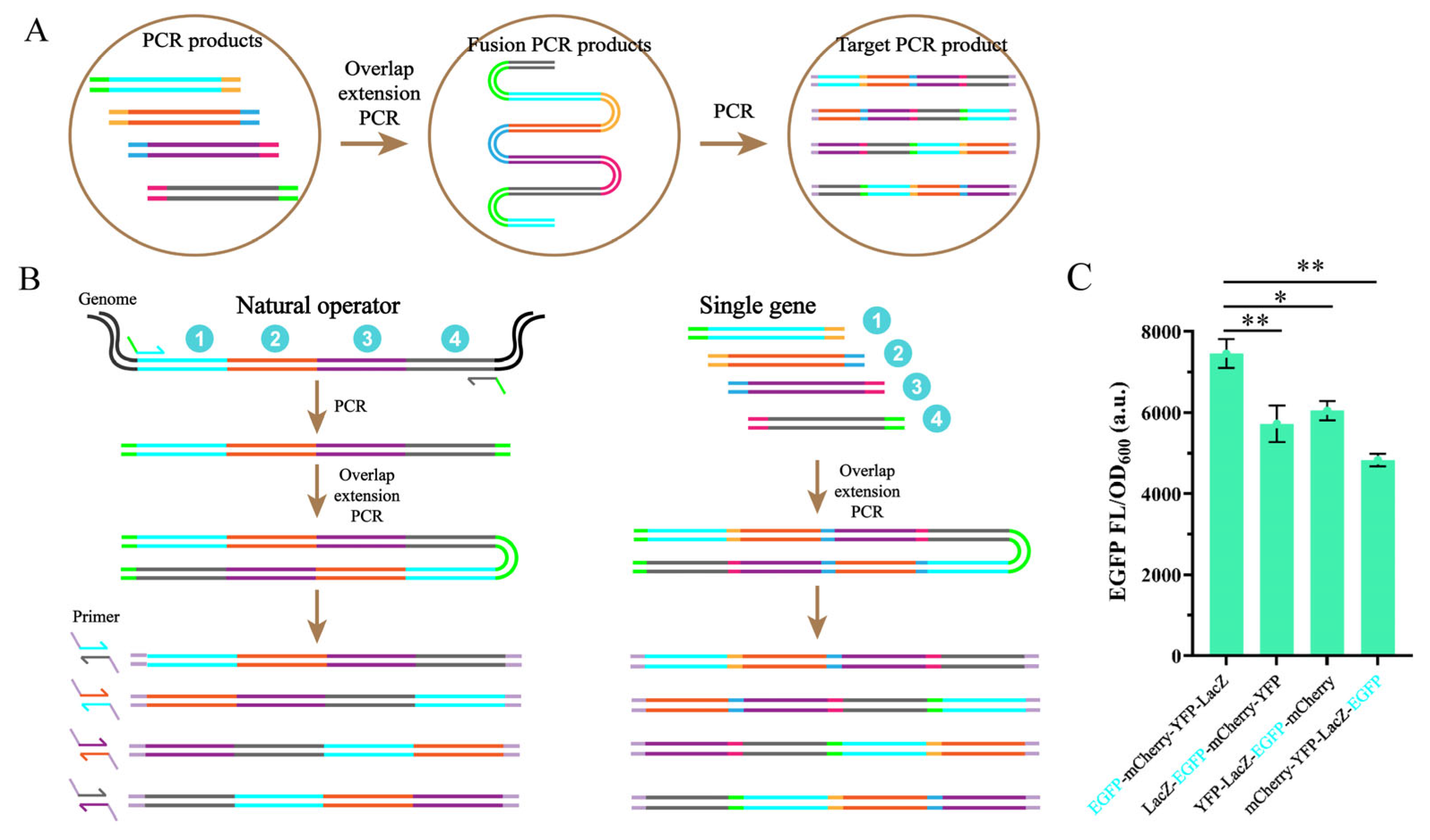 Fermentation 12 00011 g004