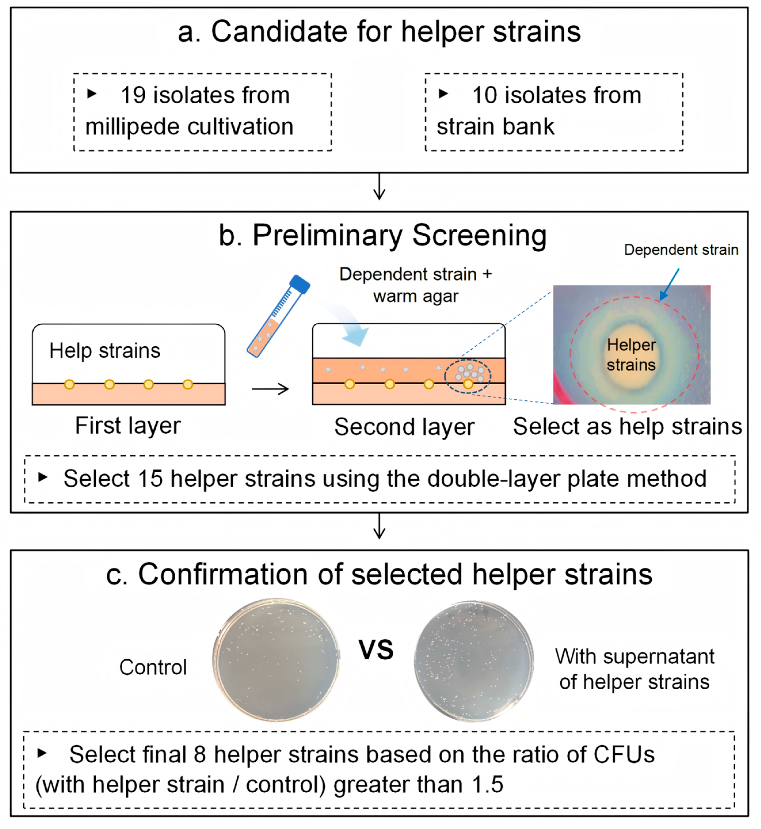 Fermentation 12 00016 g001