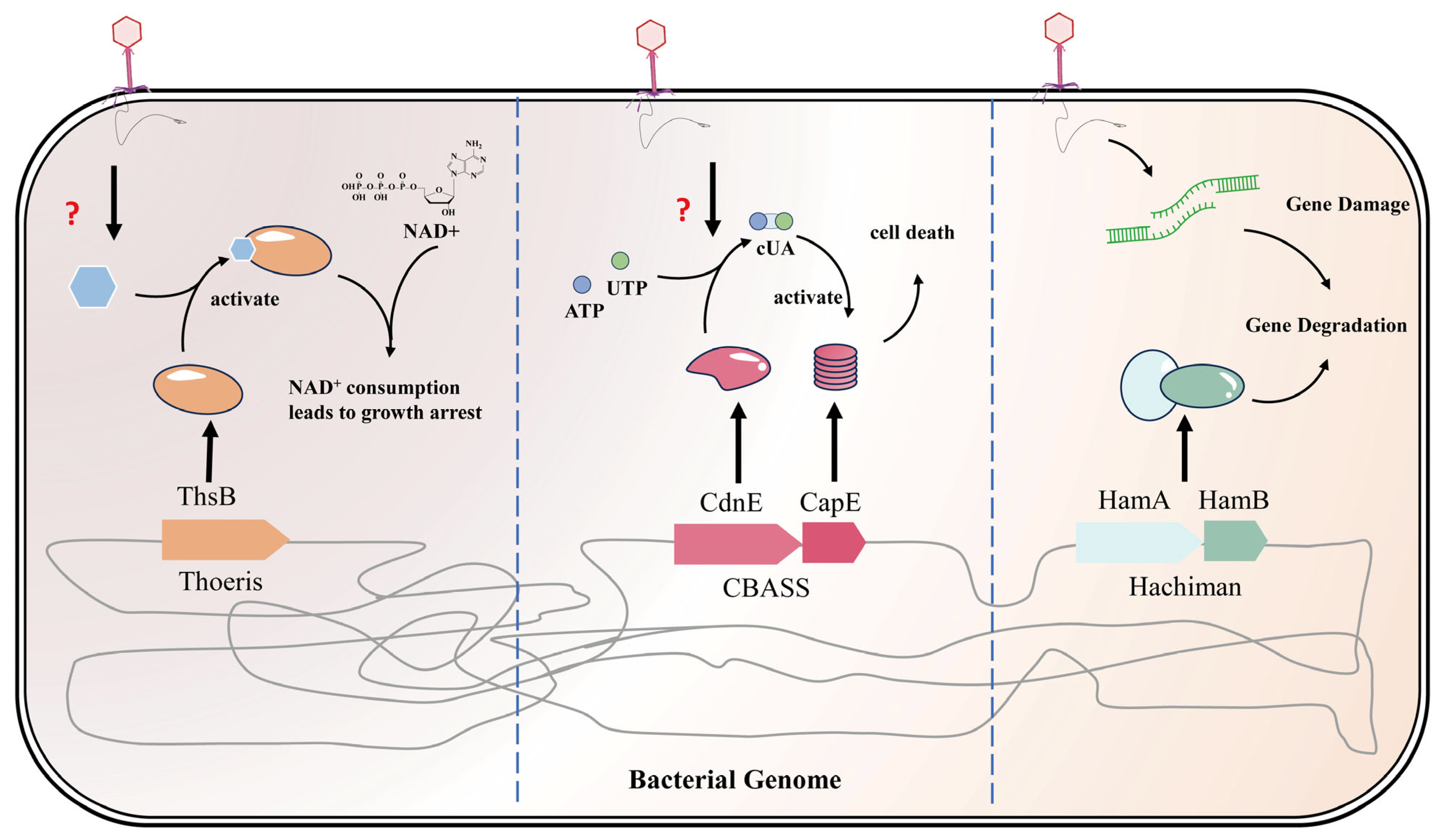 Fermentation 12 00017 g003