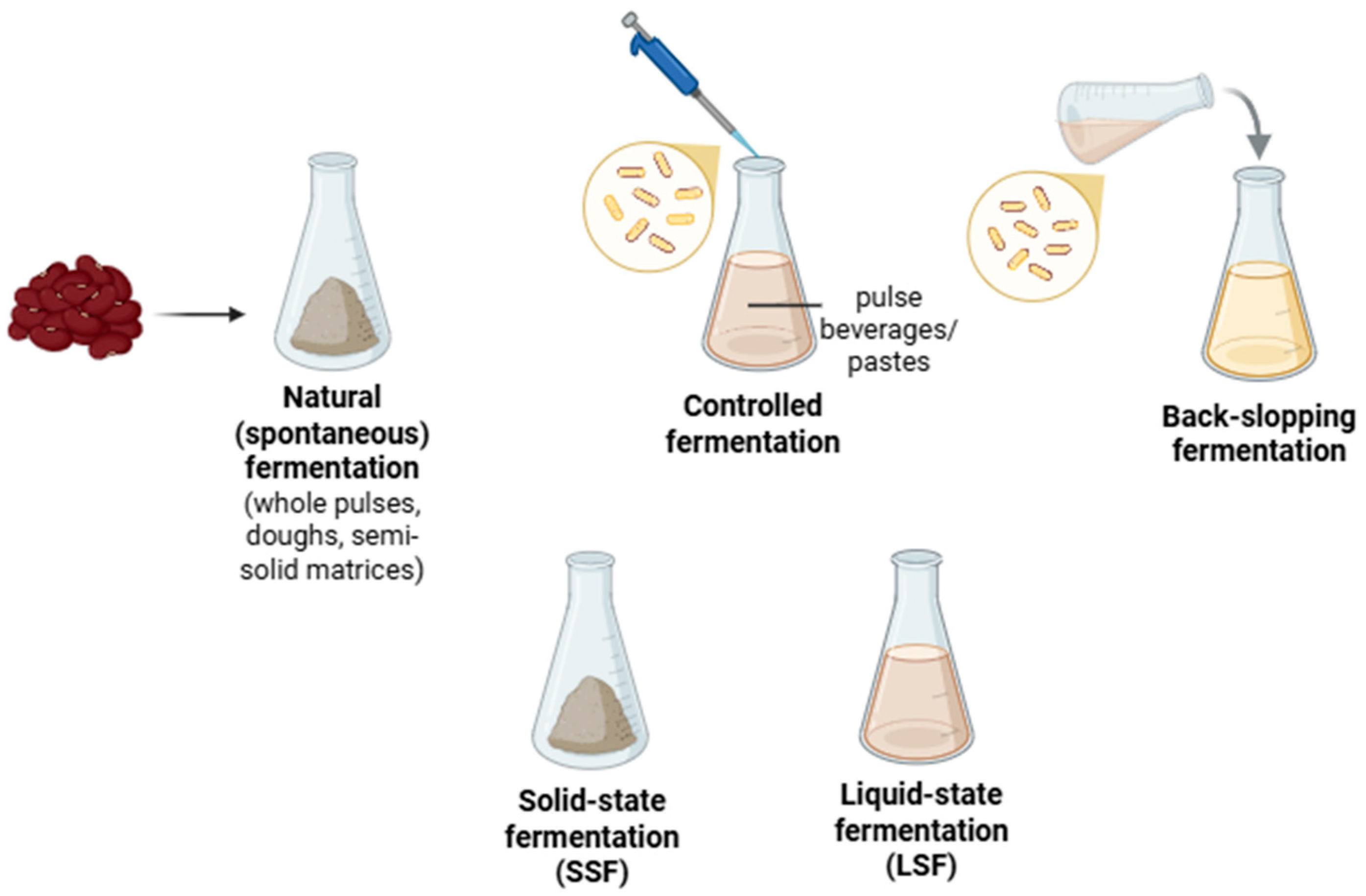 Fermentation 12 00018 g001