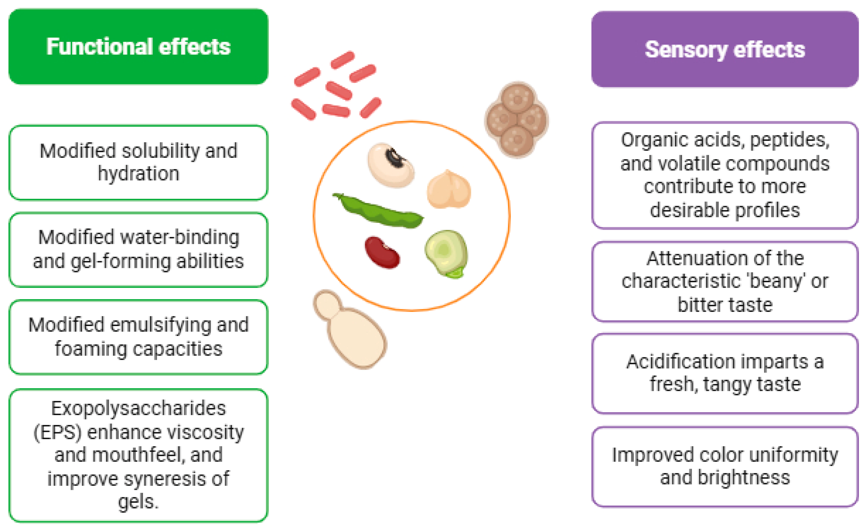Fermentation 12 00018 g003