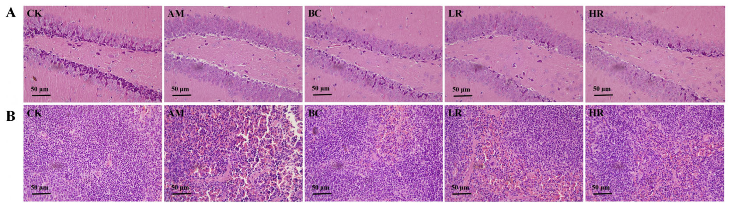 Fermentation 12 00024 g004