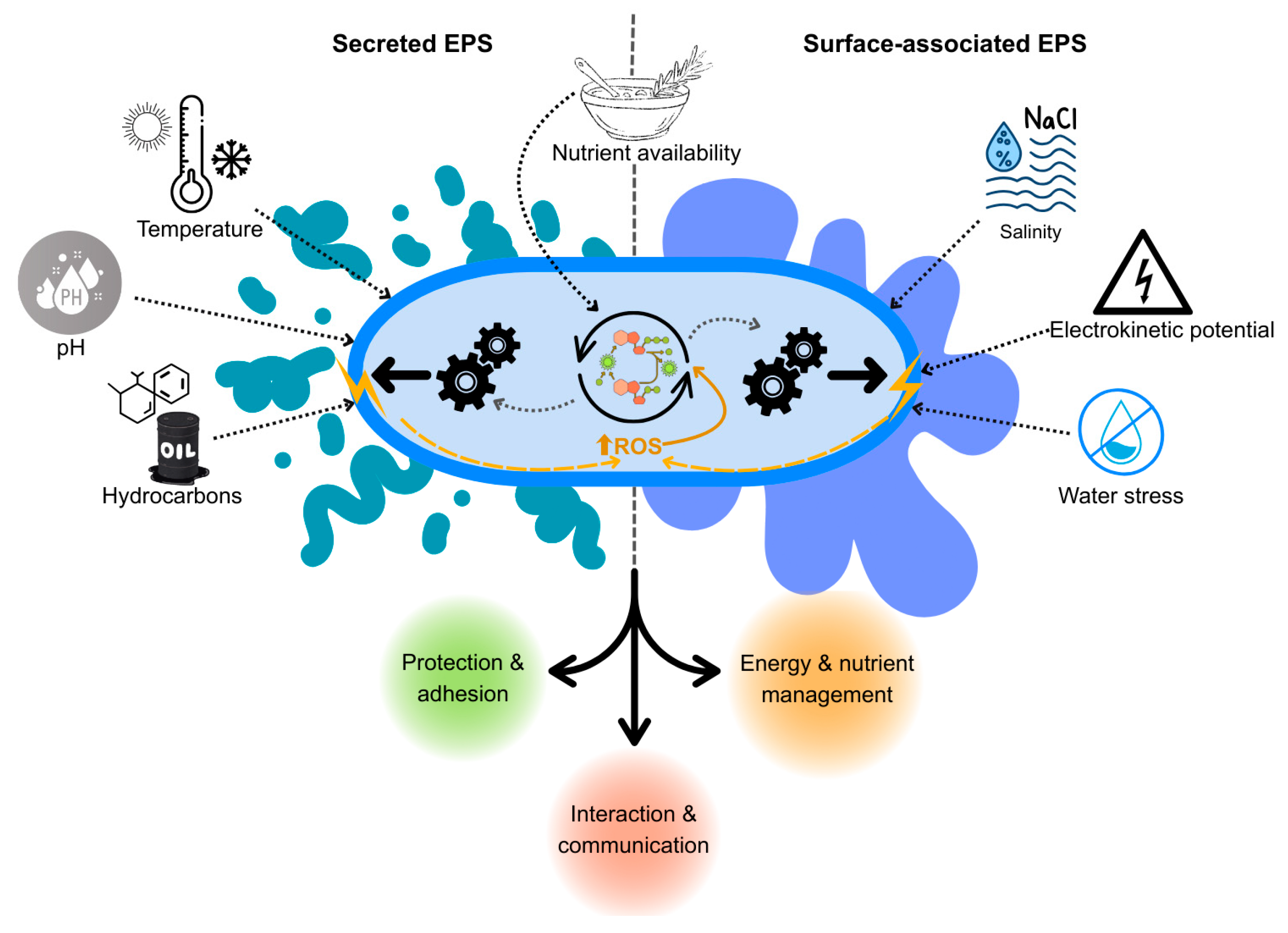Fermentation 12 00082 g002