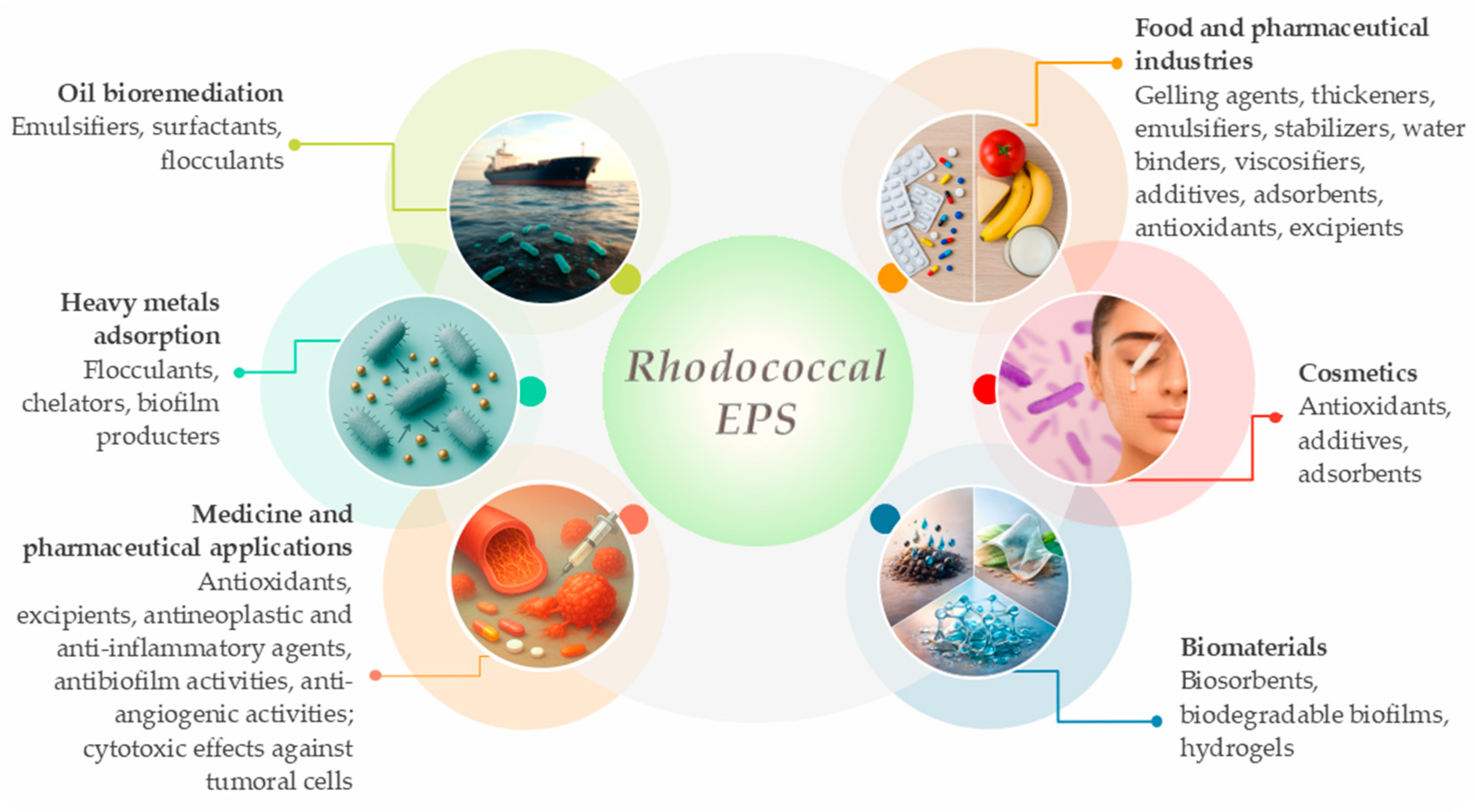 Fermentation 12 00082 g003