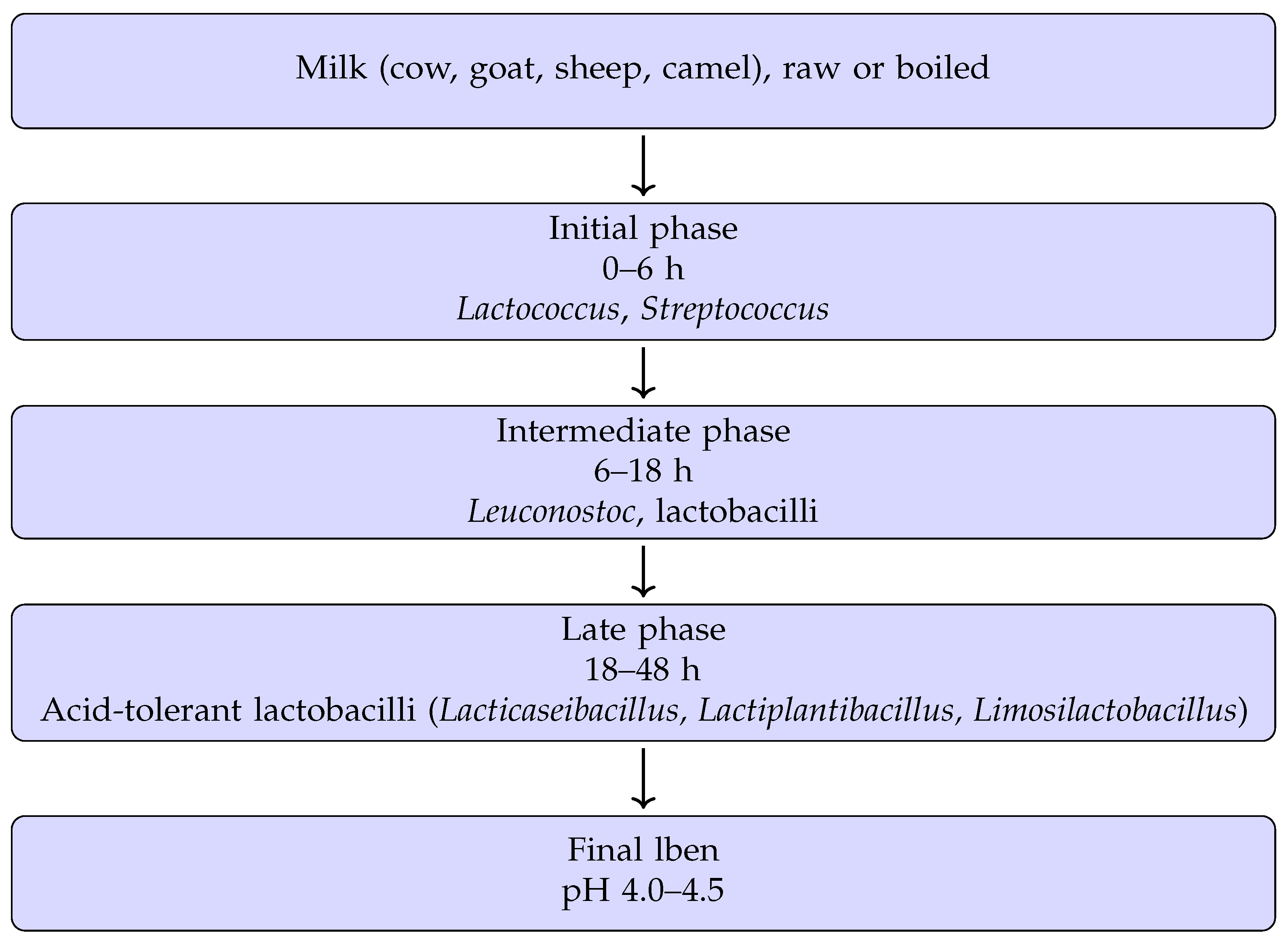 Fermentation 12 00142 g001