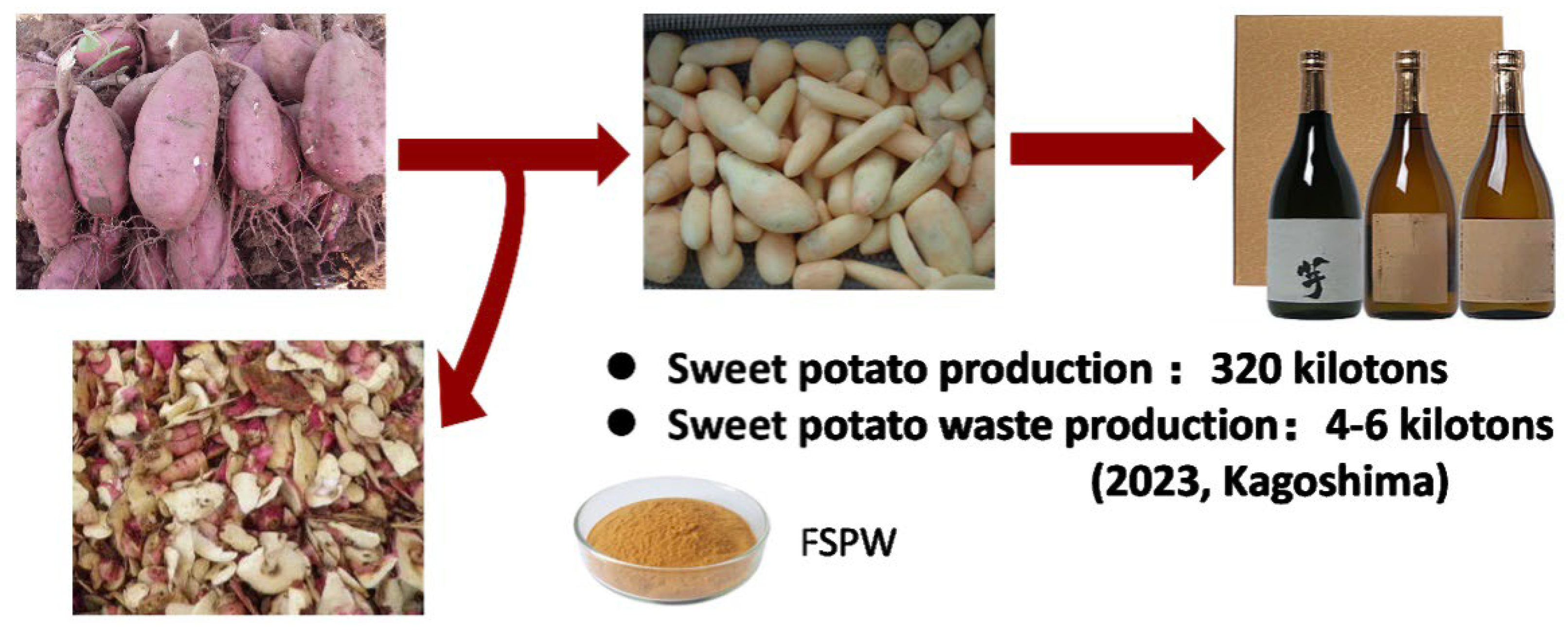 Fermentation 12 00191 g001
