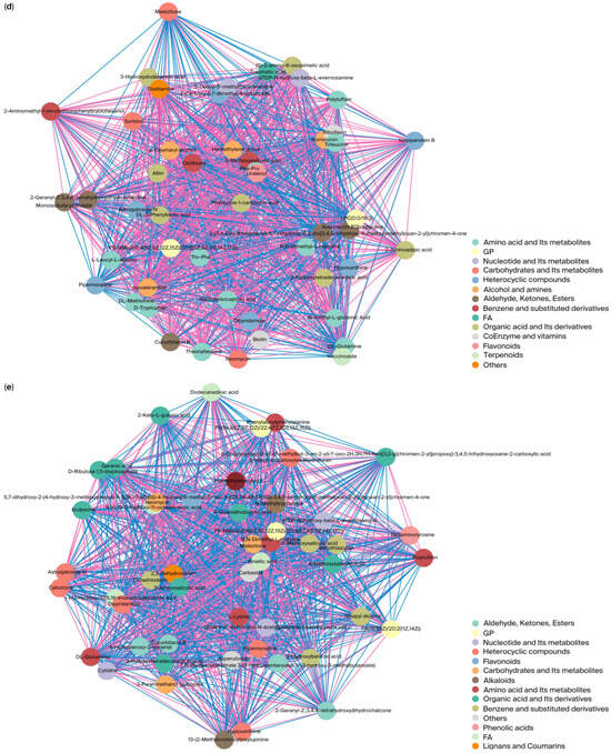 Time-Series Metabolomics Reveals a Three-Stage Metabolic Relay