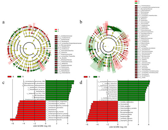 Metagenomic and Metabolomic Insights into Microbial Community
